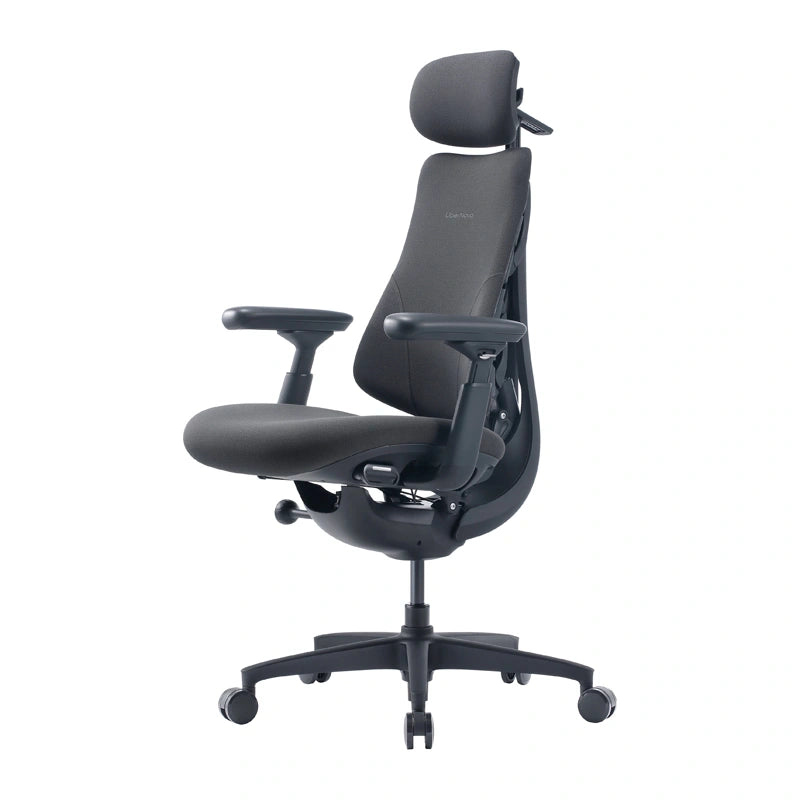 Ergonomic chair LiberNovo Omni GEN 48cm (graphite)