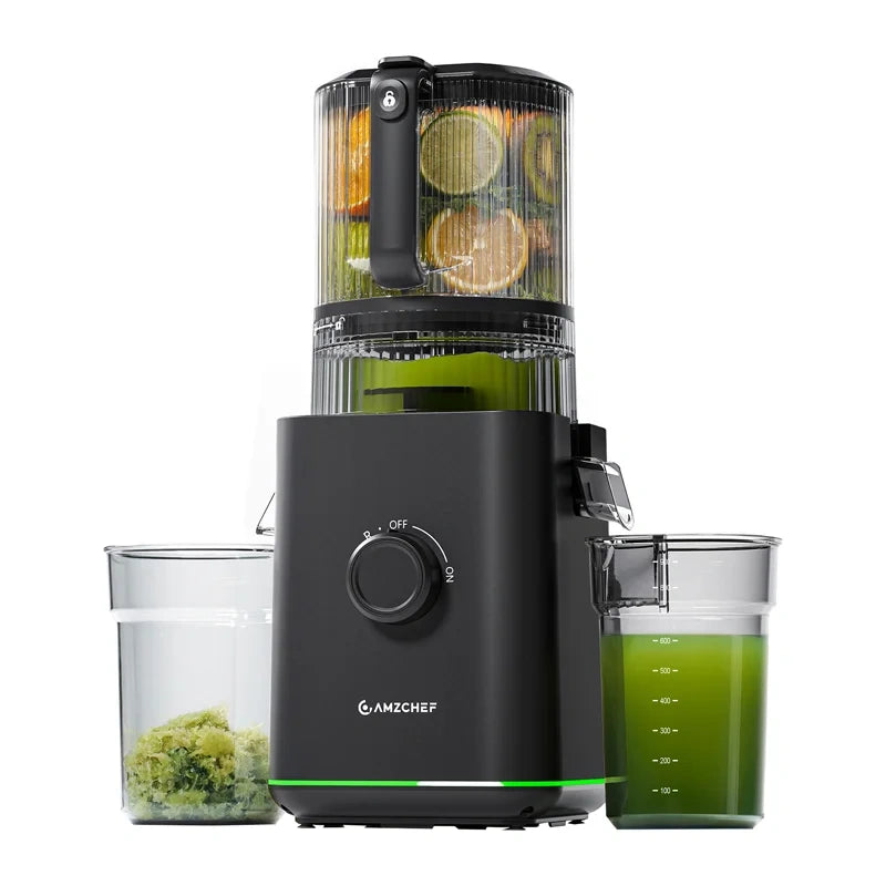 Slow juicer AMZCHEF CE-ZM1919 (black)