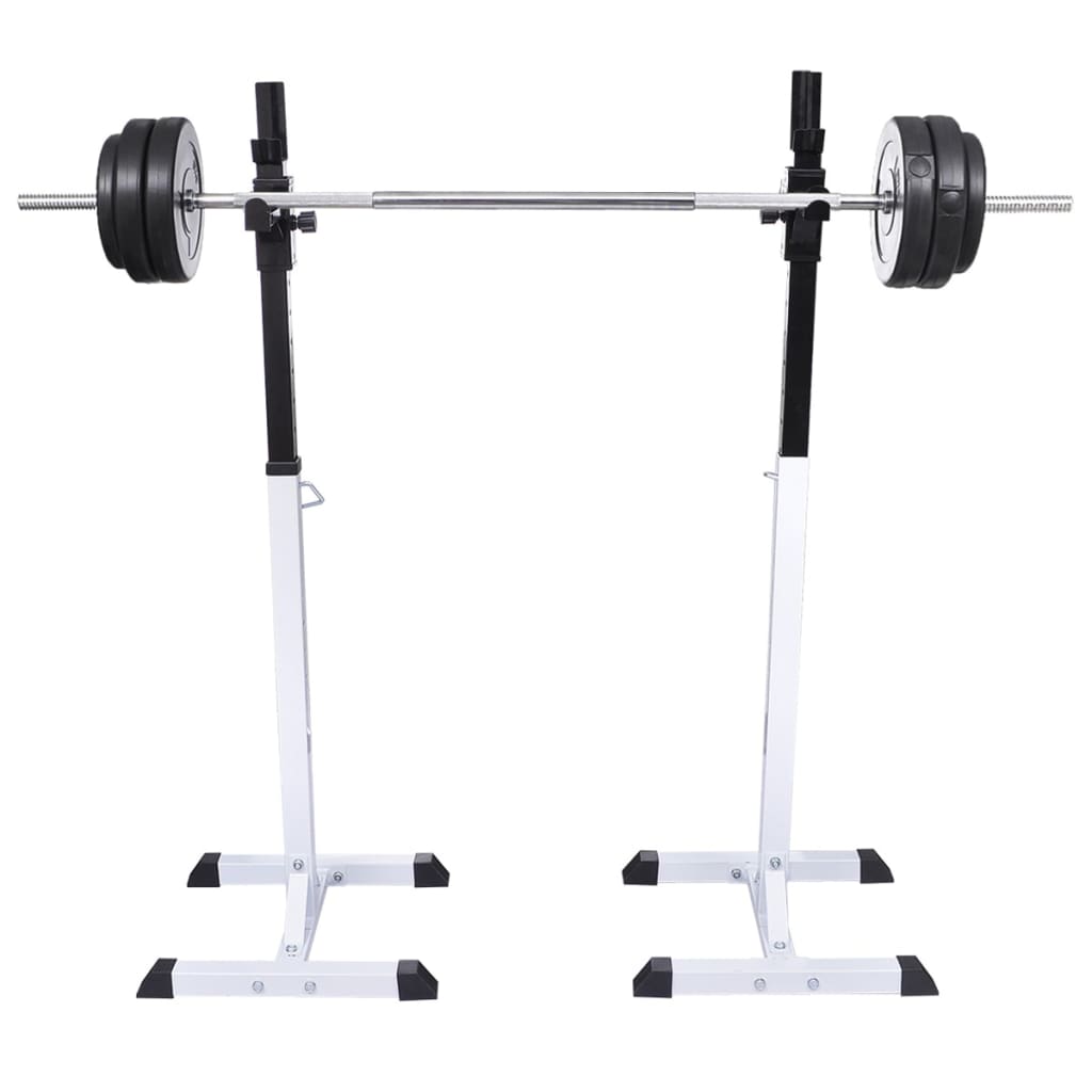 vidaXL Ορθοστάτης Μπάρας/Squat Rack με Σετ Μπάρα και Αλτήρες 60,5 κ.