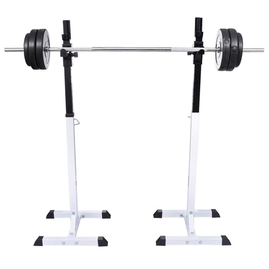 vidaXL Ορθοστάτης Μπάρας/Squat Rack με Σετ Μπάρα και Αλτήρες 60,5 κ.
