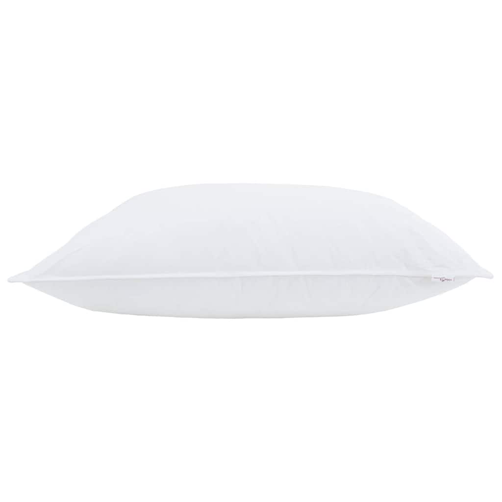 vidaXL Μαξιλάρι 50 x 75 cm Βαμβάκι Λευκό