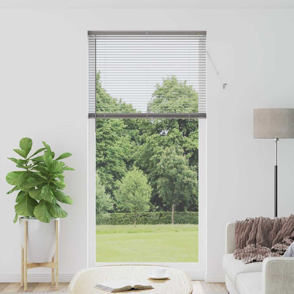 vidaXL Βενετσιάνικες Ρόδες Ασημί 220 x 105 εκ Αλουμίνιο