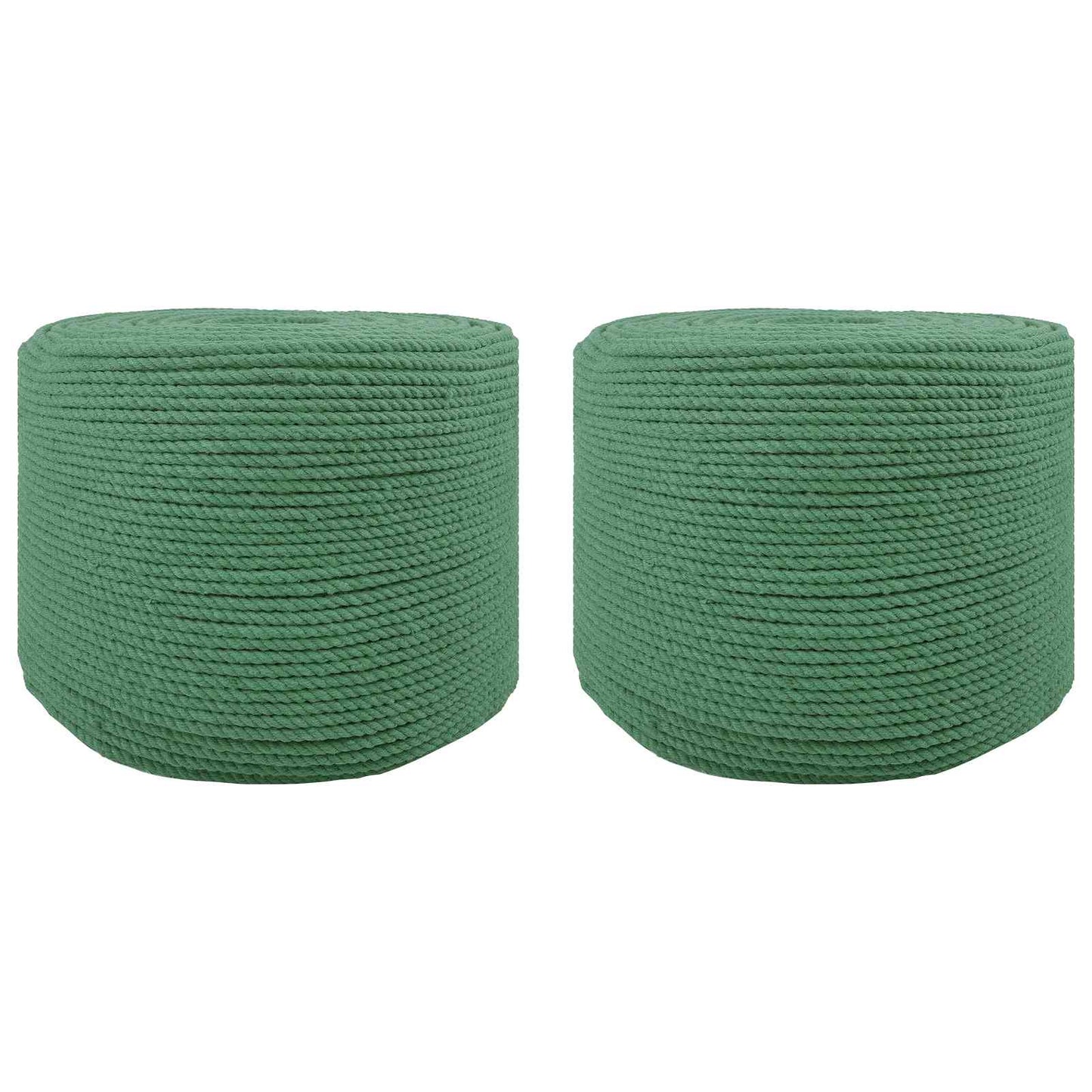 vidaXL Cotton Twine 2 τμχ. 2 mm 100 m Πράσινο 100% Βαμβάκι