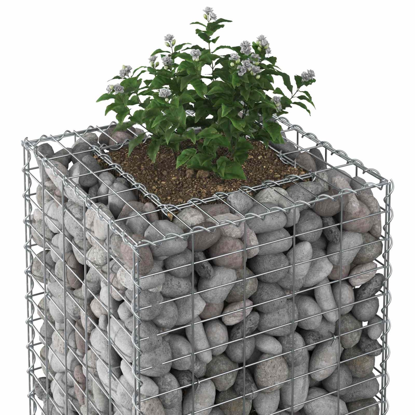 vidaXL Ανασηκωμένο κρεβάτι gabion 50 x 50 x 150 εκ Ασημί
