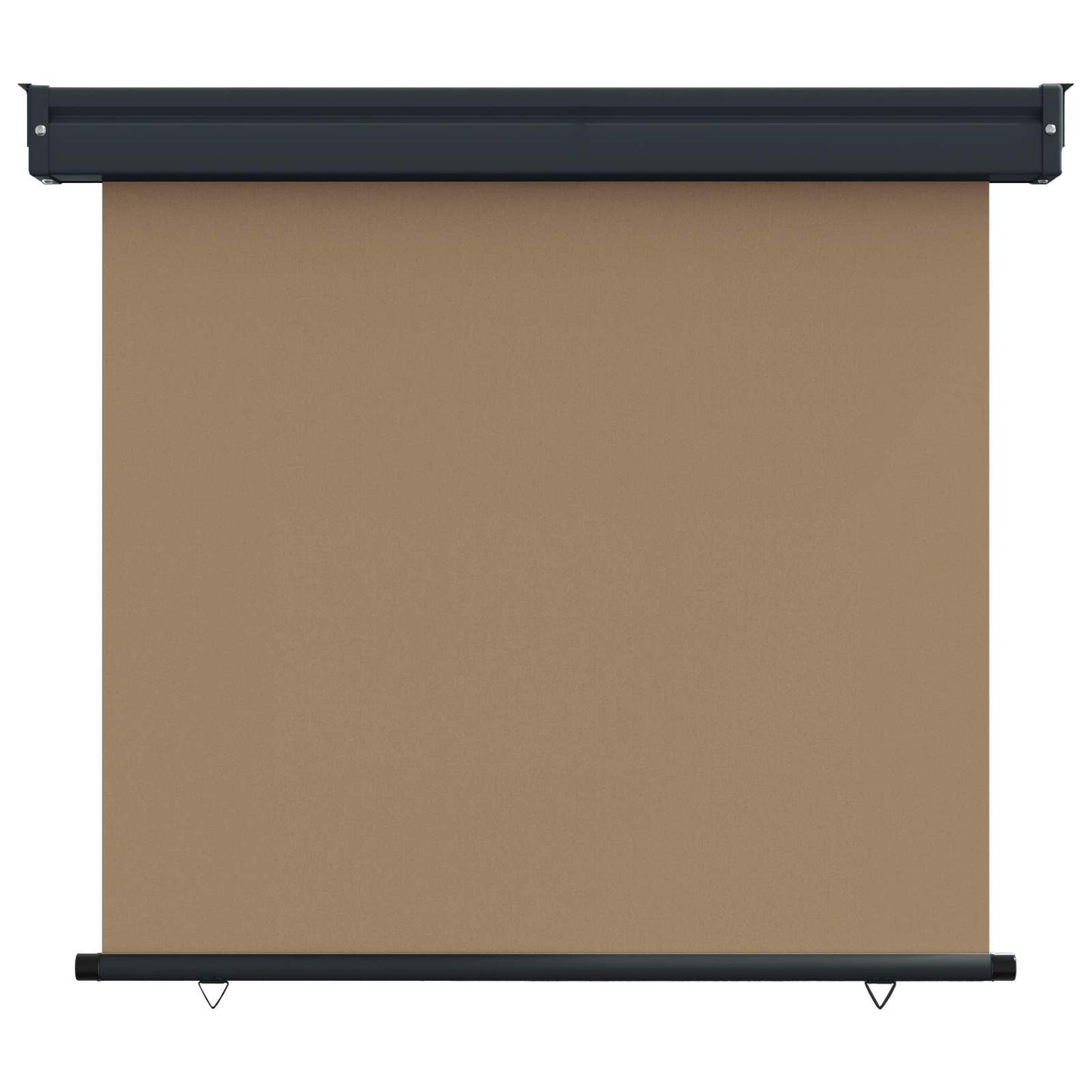 vidaXL Αυλούπα Πλευράς Μπαλκονιού 65 x 250 cm