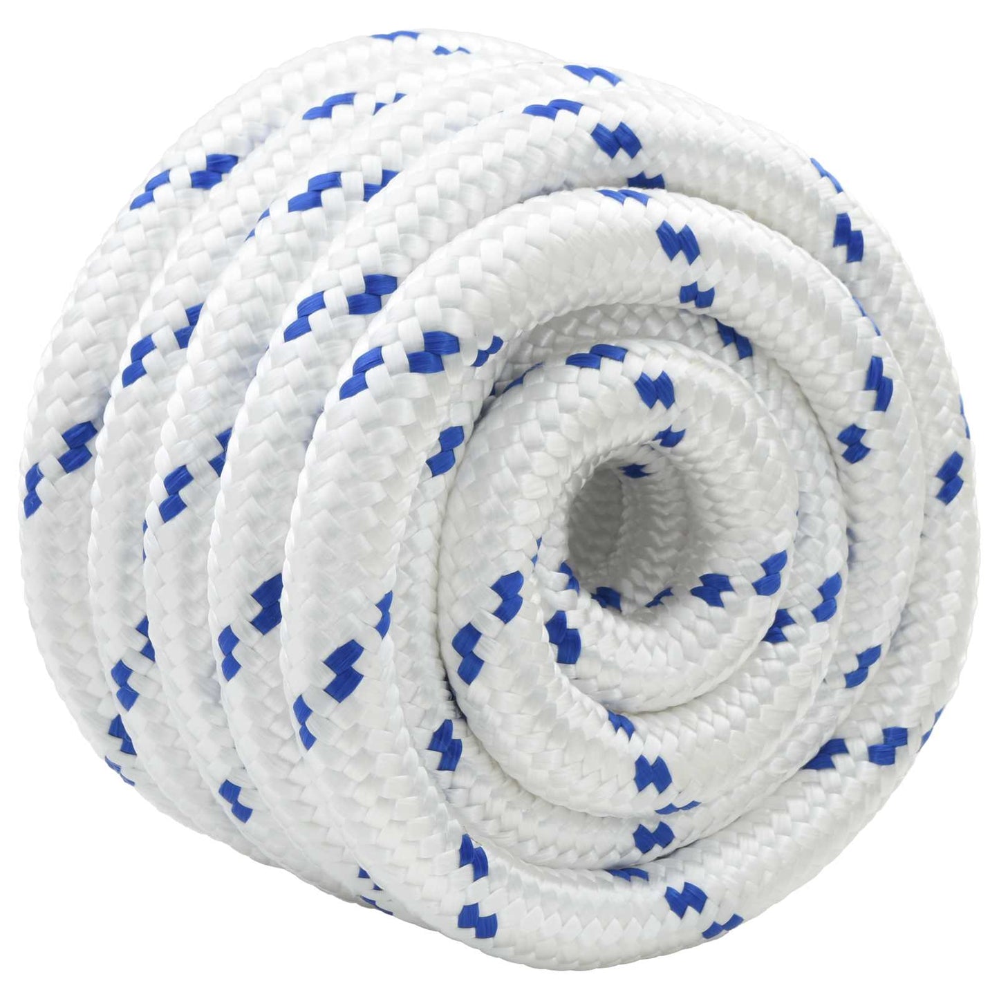 vidaXL Σχοινί Boat 50 χιλ. 10 m Λευκό και Μπλε polypropylene