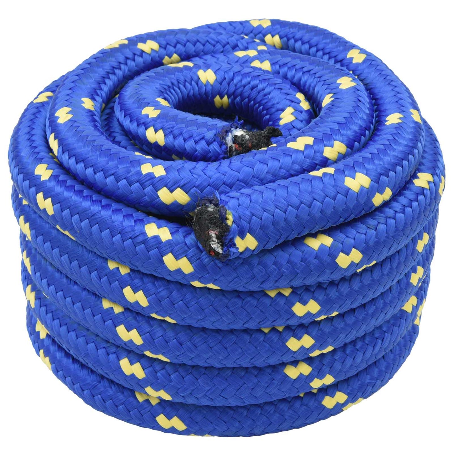 vidaXL Σχοινί Boat 3 mm 5 m Μπλε PP