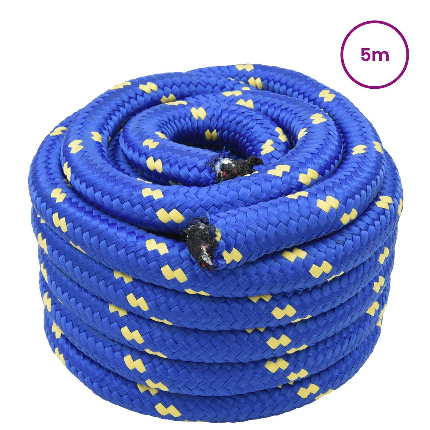 vidaXL Σχοινί Boat 50 χιλ. 5 m Μπλε polypropylene