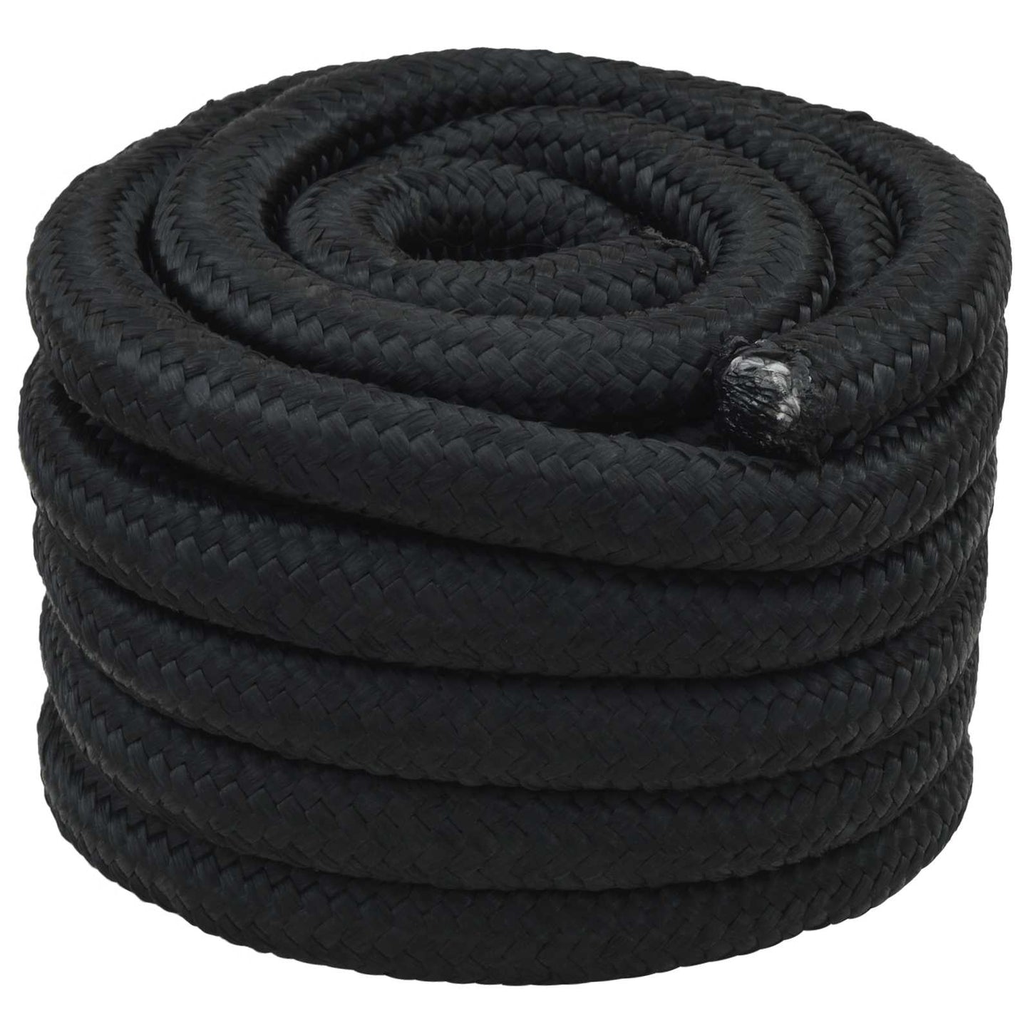 vidaXL Σχοινί Boat 40 χιλ. 5 m Μαύρο polypropylene