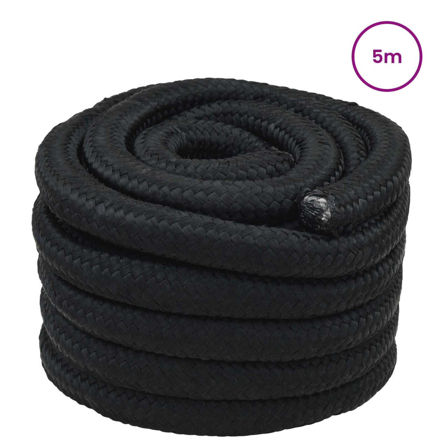vidaXL Σχοινί Boat 50 χιλ. 5 m Μαύρο polypropylene