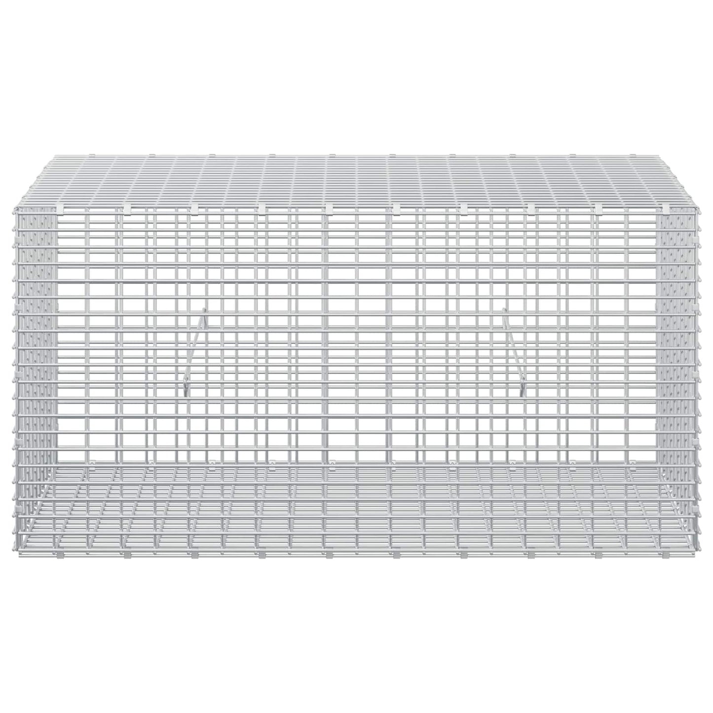 vidaXL Γκαμπιόν με σύρμα 3,5 mm και πλέγμα 5x2,5 cm 50x100x50 εκ
