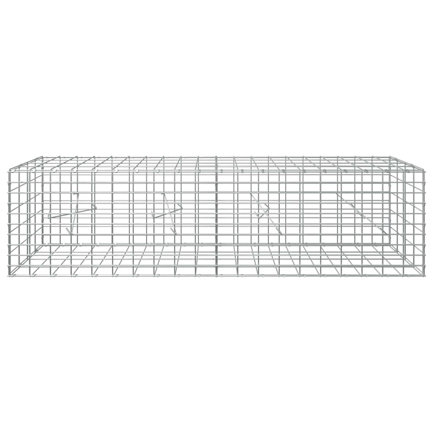 vidaXL Γκαμπιόν με σύρμα 3,5 mm και πλέγμα 5x10 cm 200x20x50 εκ