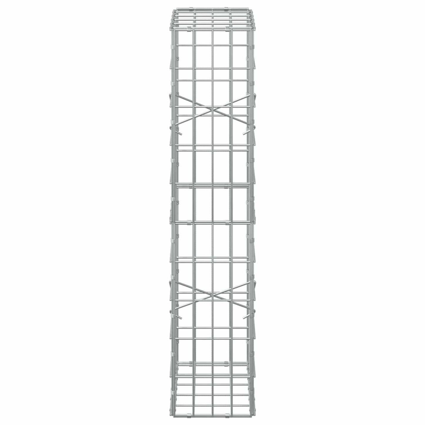 vidaXL Γκαμπιόν με σύρμα 3,5 mm και πλέγμα 5x10 cm 50x20x100 εκ