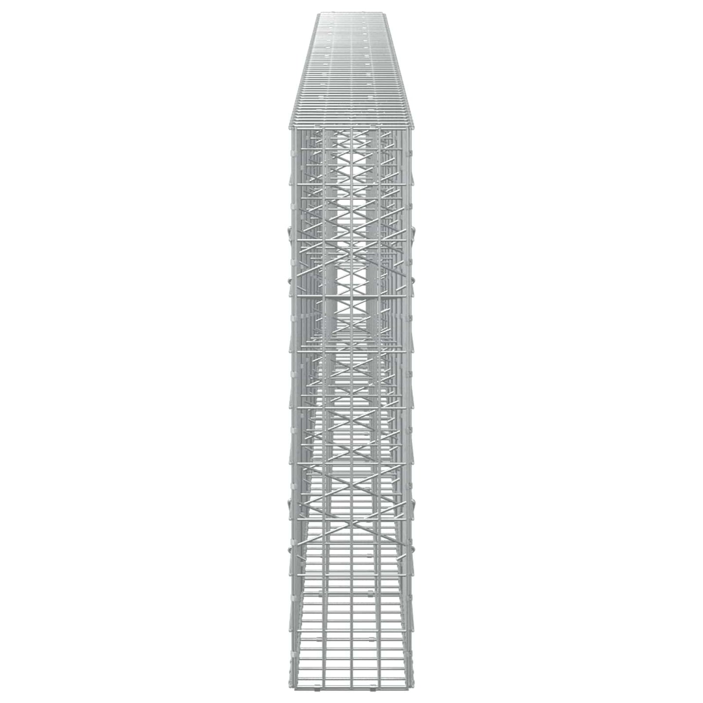 vidaXL Γκαμπιόν με σύρμα 3,5 mm και πλέγμα 5x10 cm 650x20x100 εκ