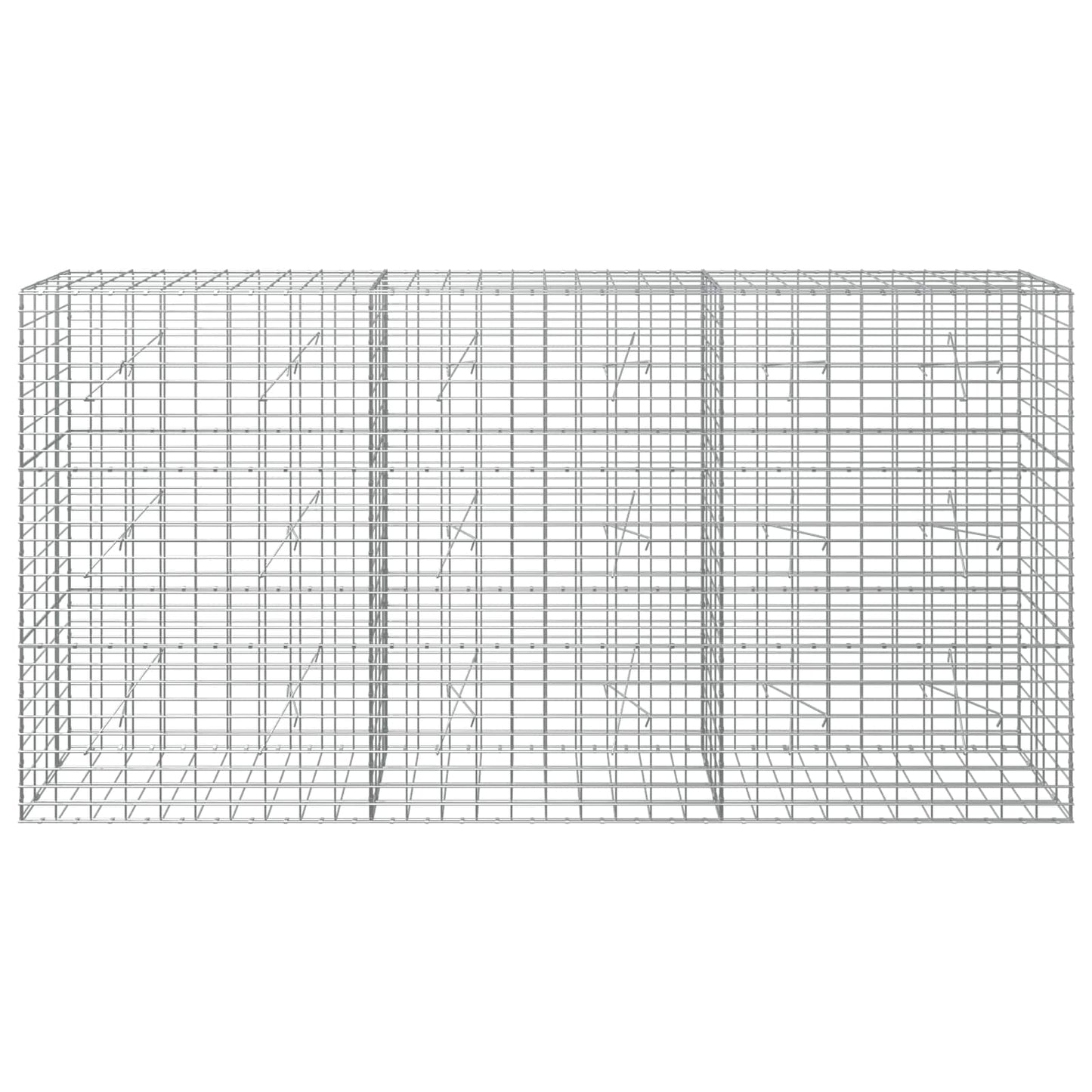 vidaXL Γκαμπιόν με σύρμα 3,5 mm και πλέγμα 5x10 cm 300x20x150 εκ