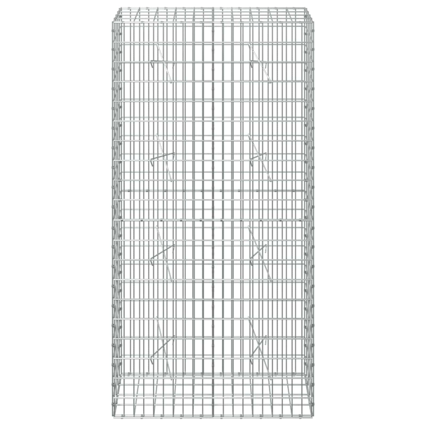 vidaXL Γκαμπιόν με σύρμα 3,5 mm και πλέγμα 5x10 cm 100x20x200 εκ