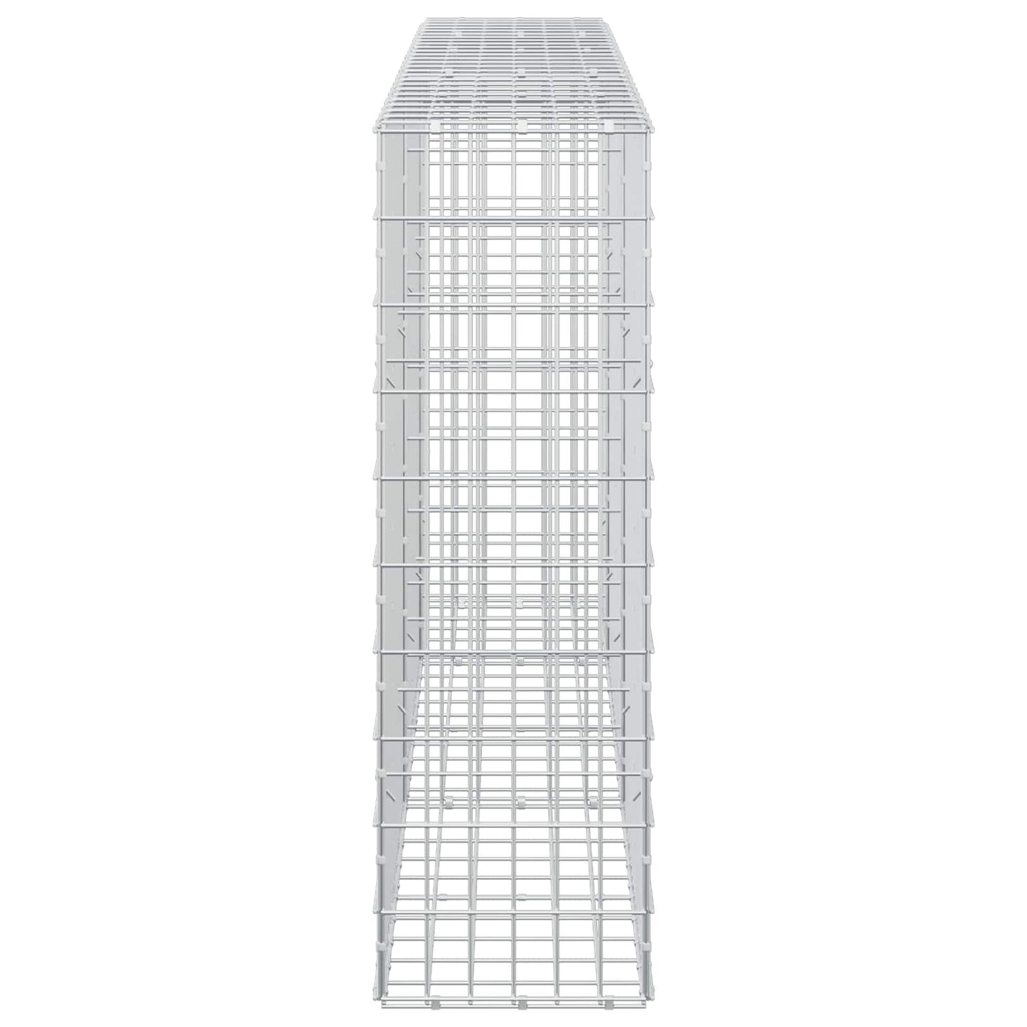 vidaXL Γκαμπιόν με σύρμα 3,5 mm και πλέγμα 5x10 cm 250x30x100 εκ