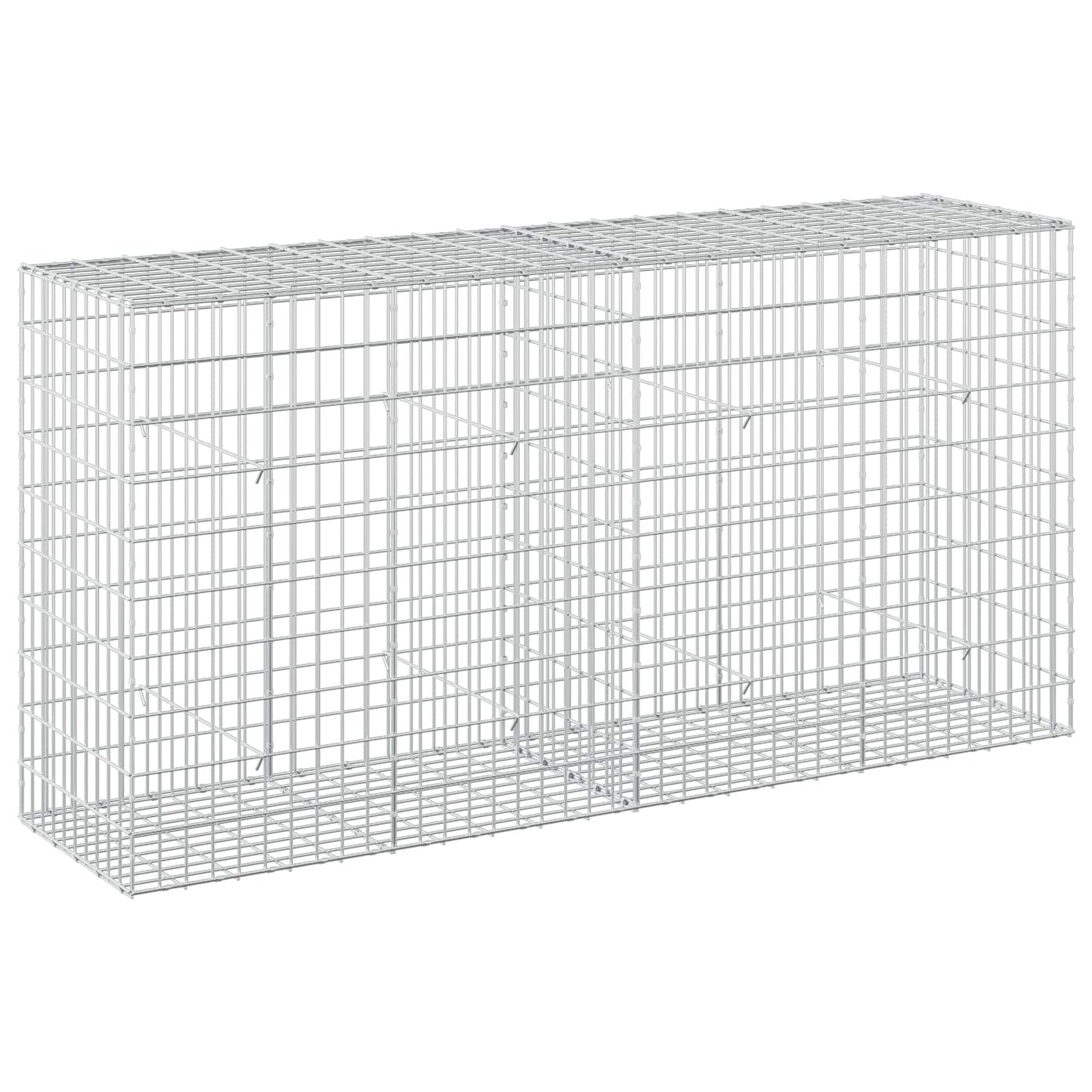 vidaXL Γκαμπιόν με σύρμα 3,5 mm και πλέγμα 5x10 cm 200x50x100 εκ
