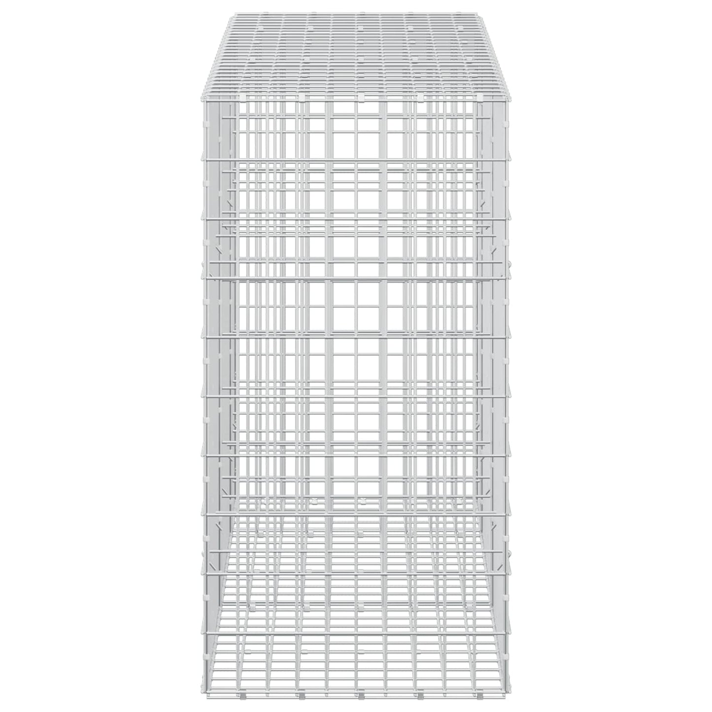 vidaXL Γκαμπιόν με σύρμα 3,5 mm και πλέγμα 5x10 cm 250x50x100 εκ