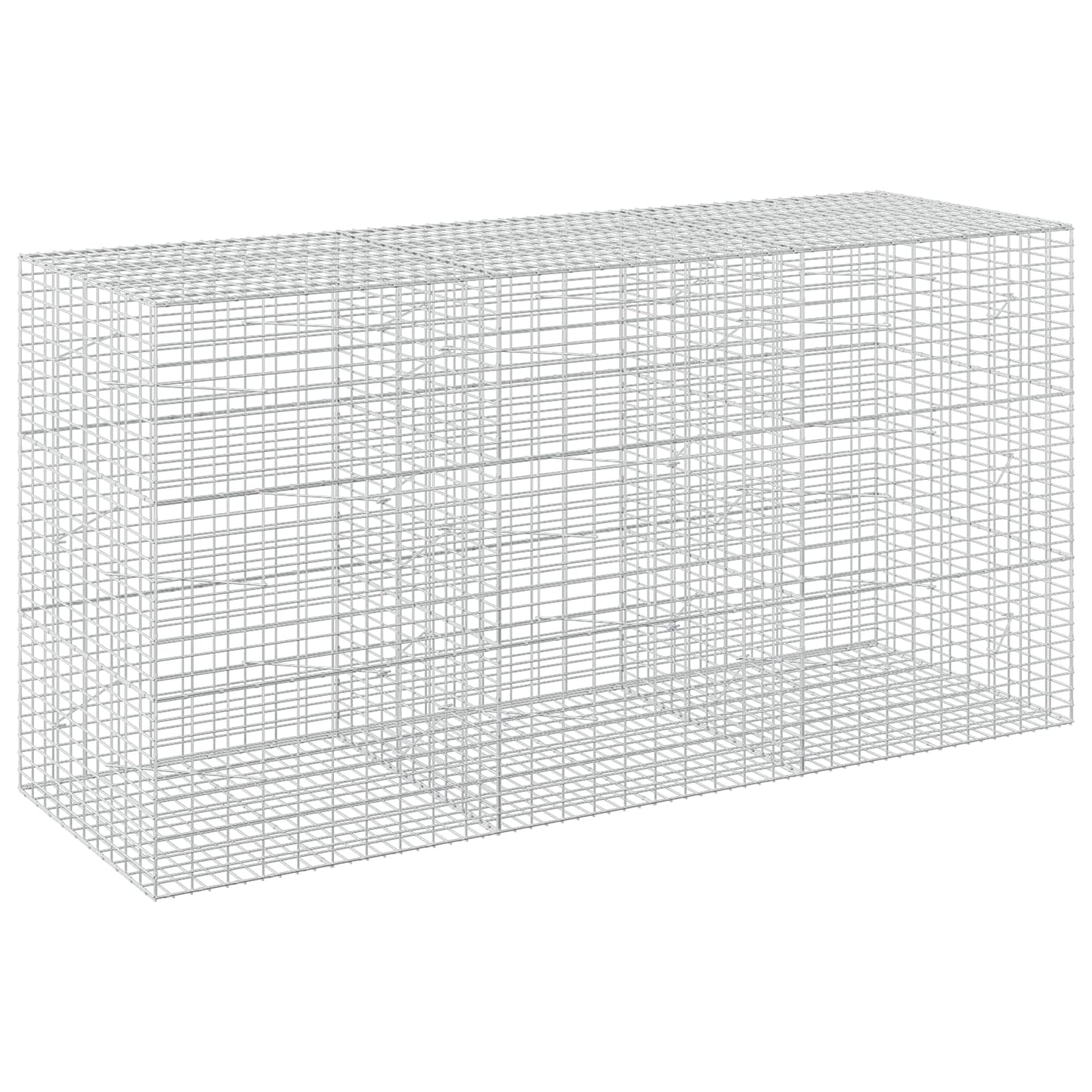 vidaXL Γκαμπιόν με σύρμα 3,5 mm και πλέγμα 5x10 cm 300x100x150 εκ