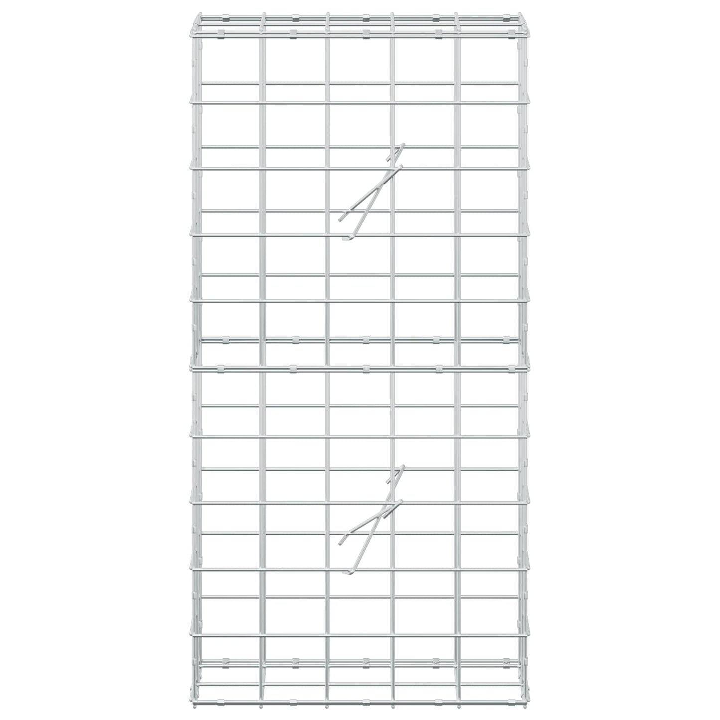 vidaXL Γκαμπιόν με σύρμα 3,5 mm και πλέγμα 10x10 cm 50x20x100 εκ