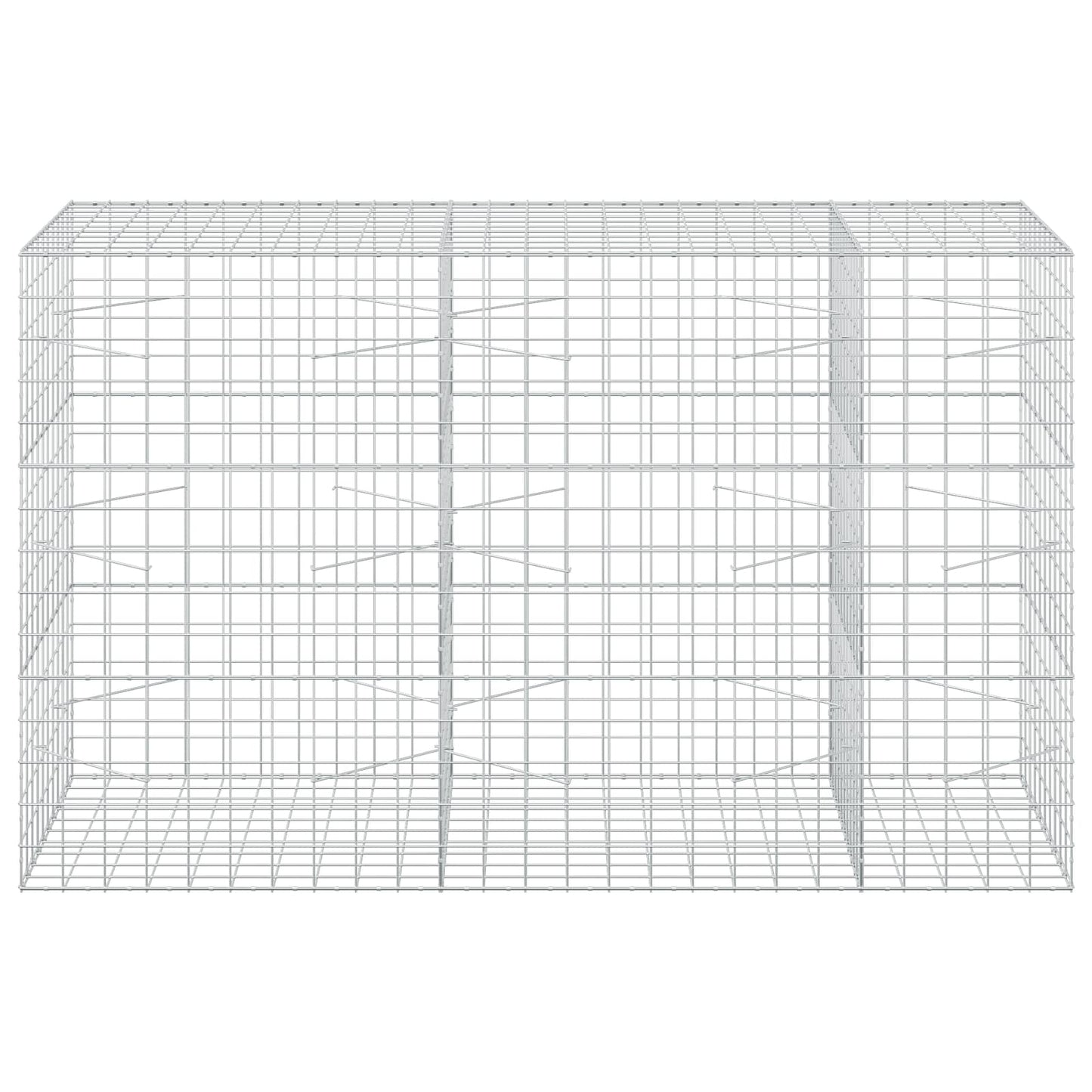 vidaXL Γκαμπιόν με σύρμα 3,5 mm και πλέγμα 10x10 cm 250x100x150 εκ.
