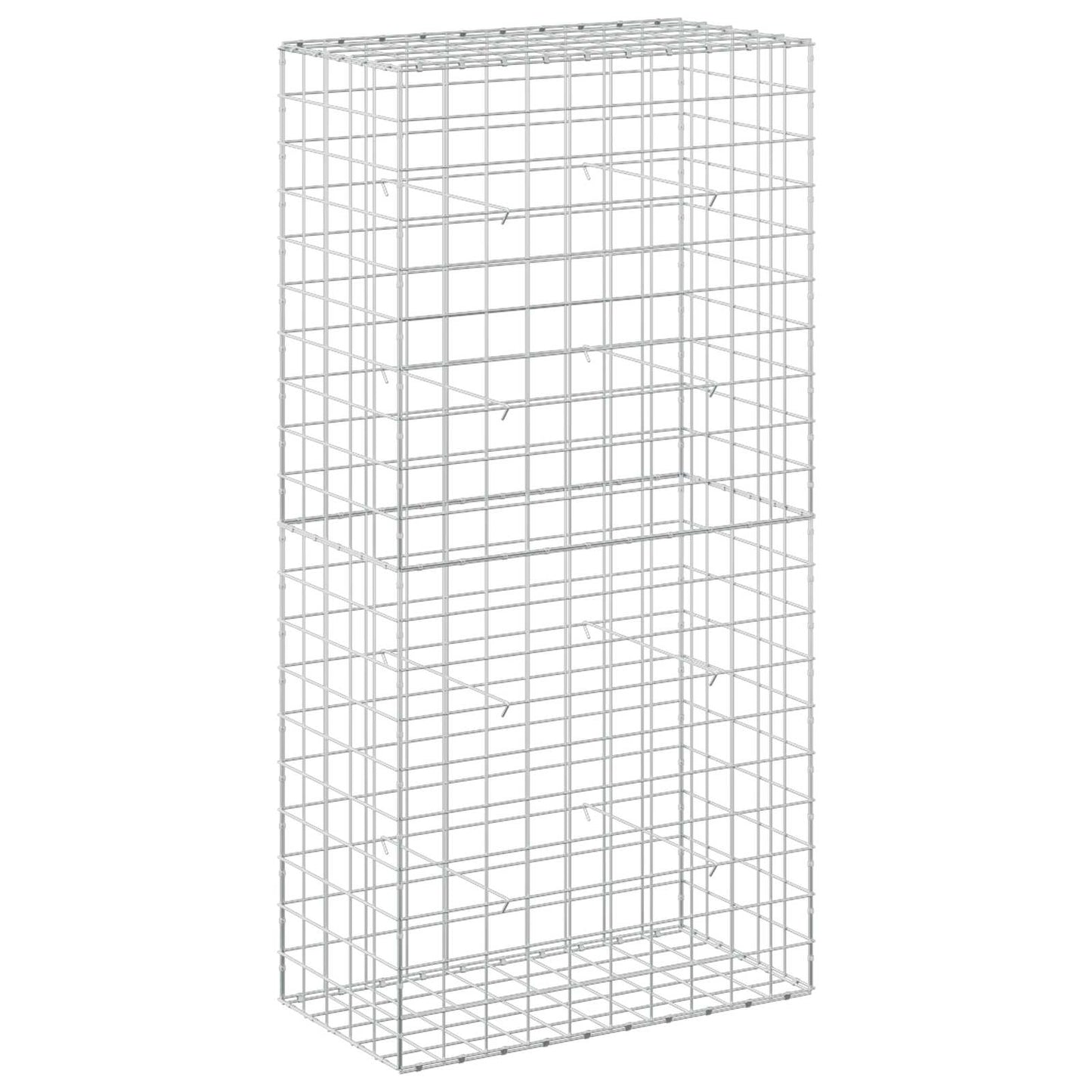 vidaXL Γκαμπιόν με σύρμα 3,5 mm και πλέγμα 10x10 cm 50x100x200 εκ