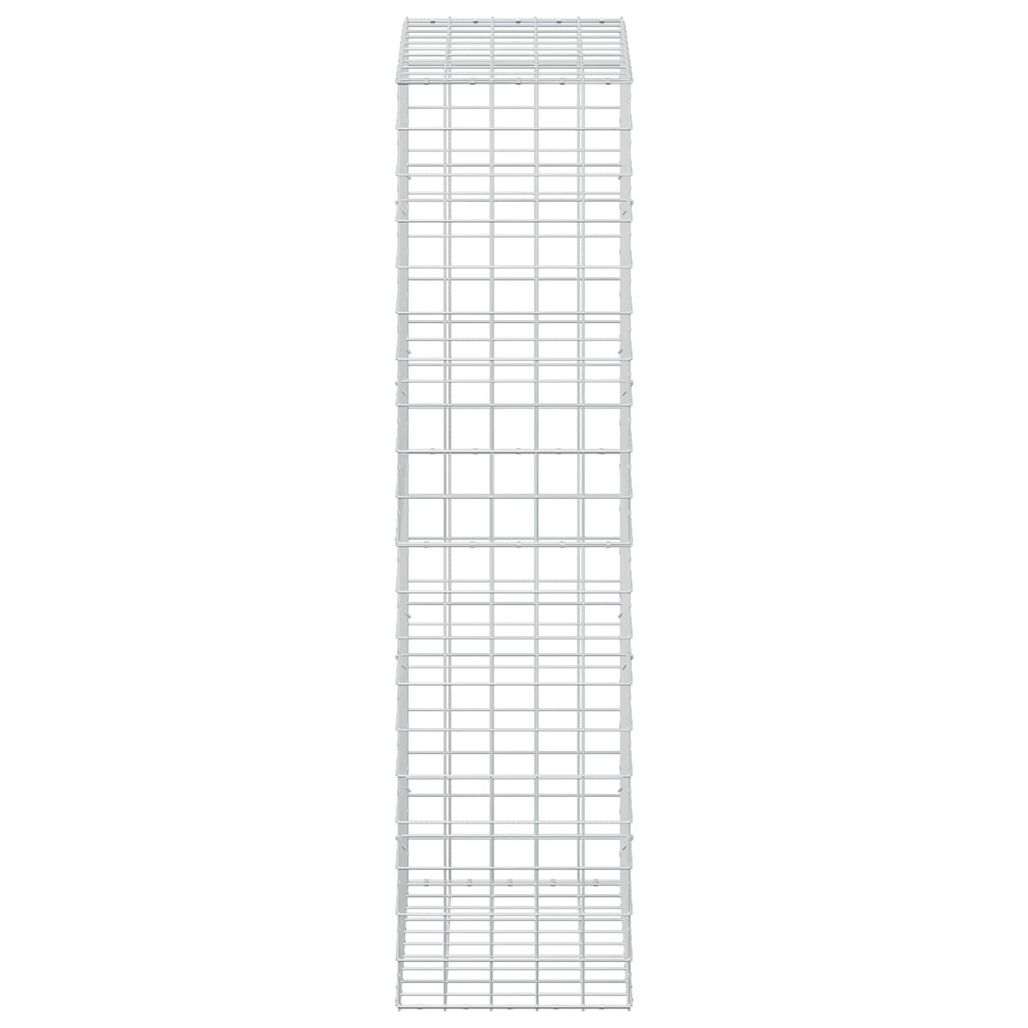 vidaXL Γκαμπιόν με σύρμα 3,5 mm και πλέγμα 10x10 cm 50x100x200 εκ