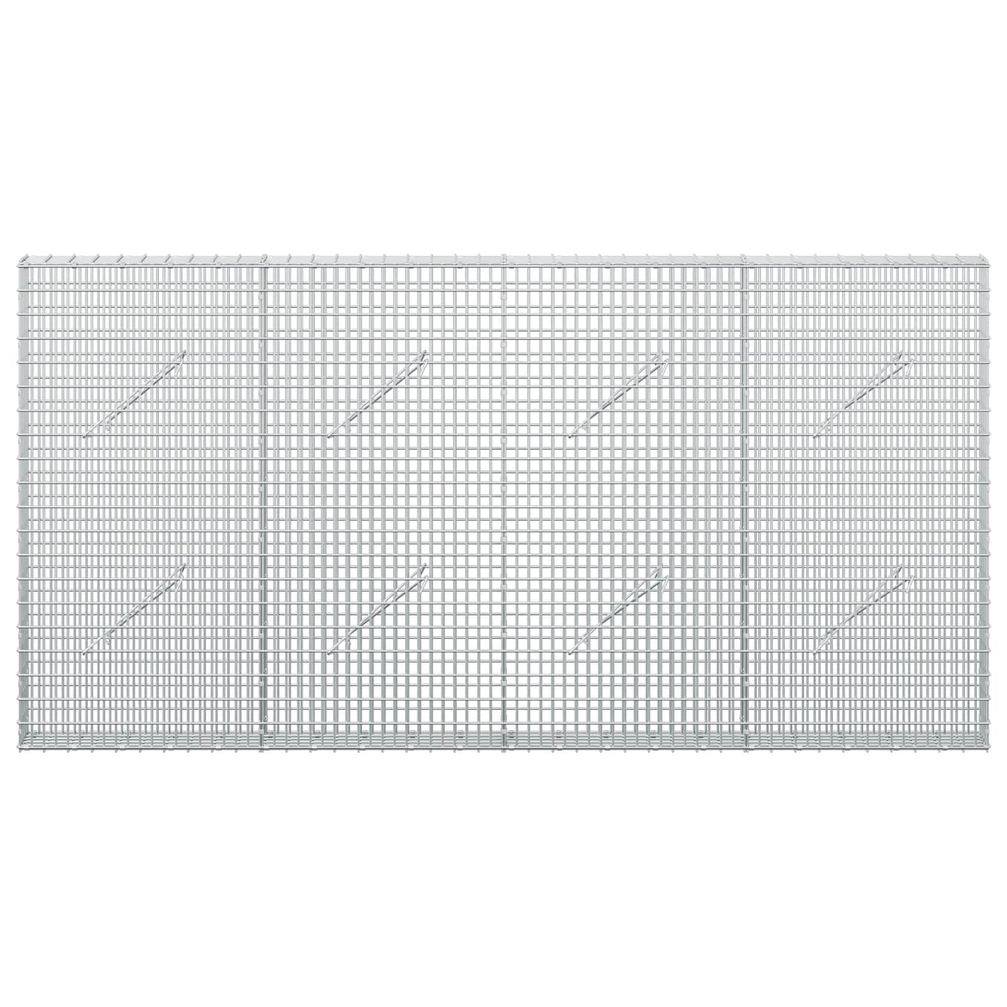vidaXL Γκαμπιόν με σύρμα 5 mm και πλέγμα 5x2,5 cm 200x10x100 εκ
