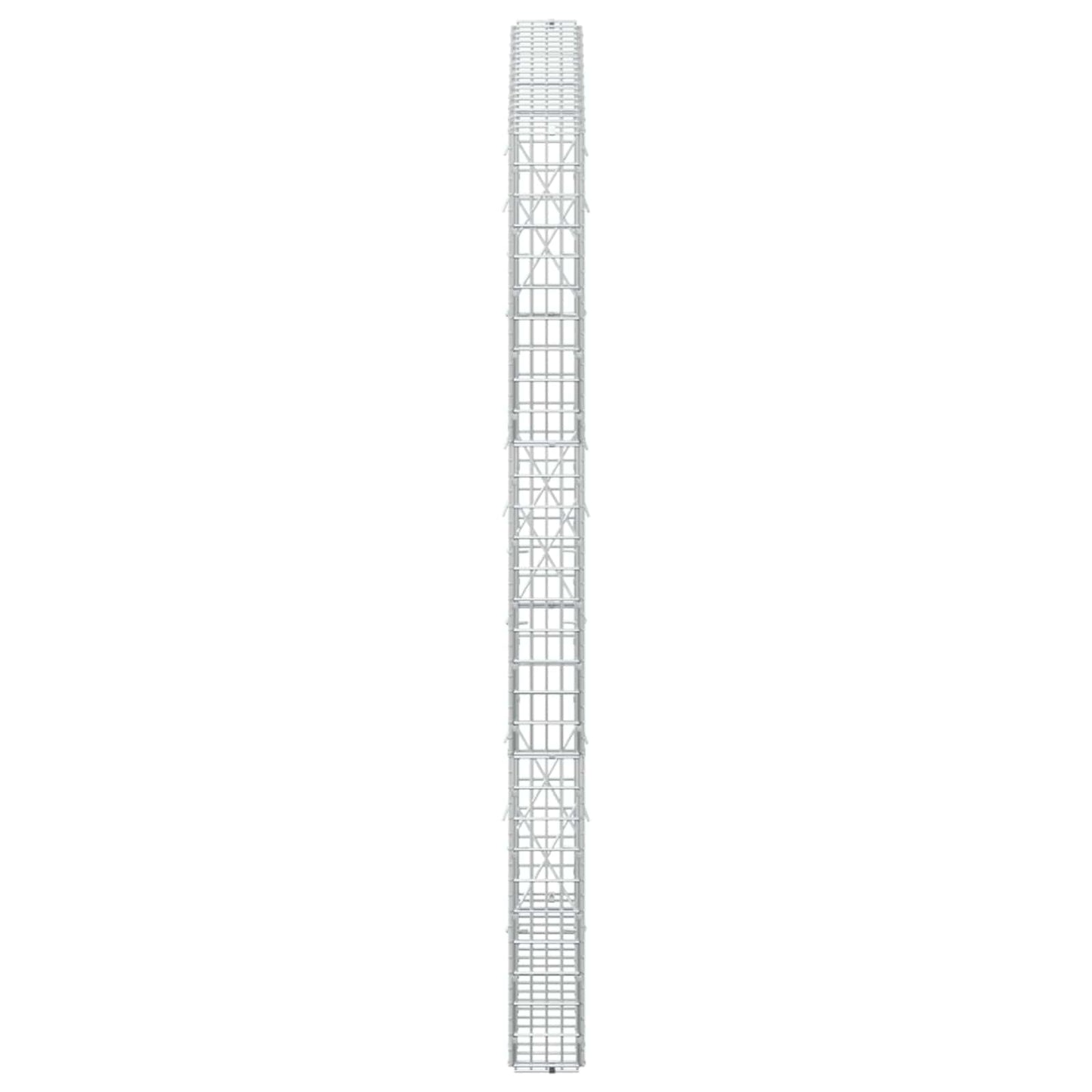 vidaXL Γκαμπιόν με σύρμα 5 mm και πλέγμα 5x2,5 cm 100x10x150 εκ