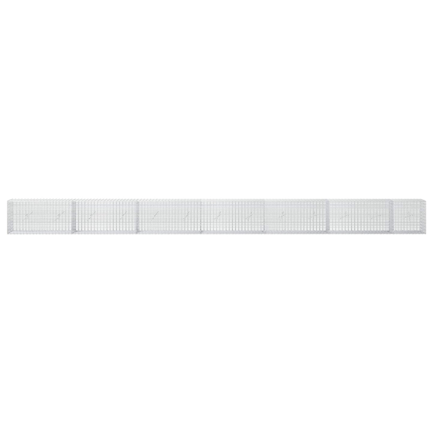 vidaXL Γκαμπιόν με σύρμα 5 mm και πλέγμα 5x2,5 cm 650x20x50 εκ