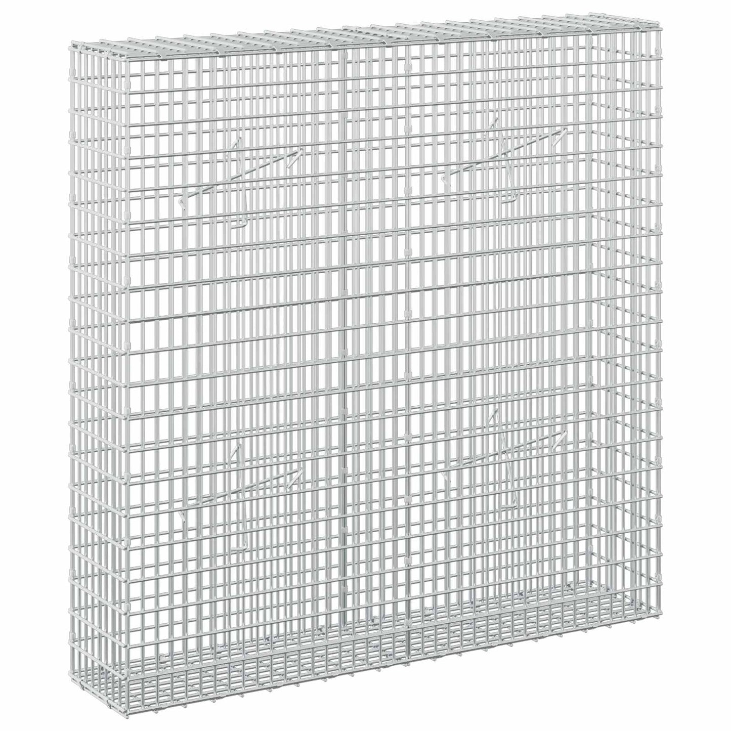 vidaXL Γκαμπιόν με σύρμα 5 mm και πλέγμα 5x2,5 cm 100x20x100 εκ.