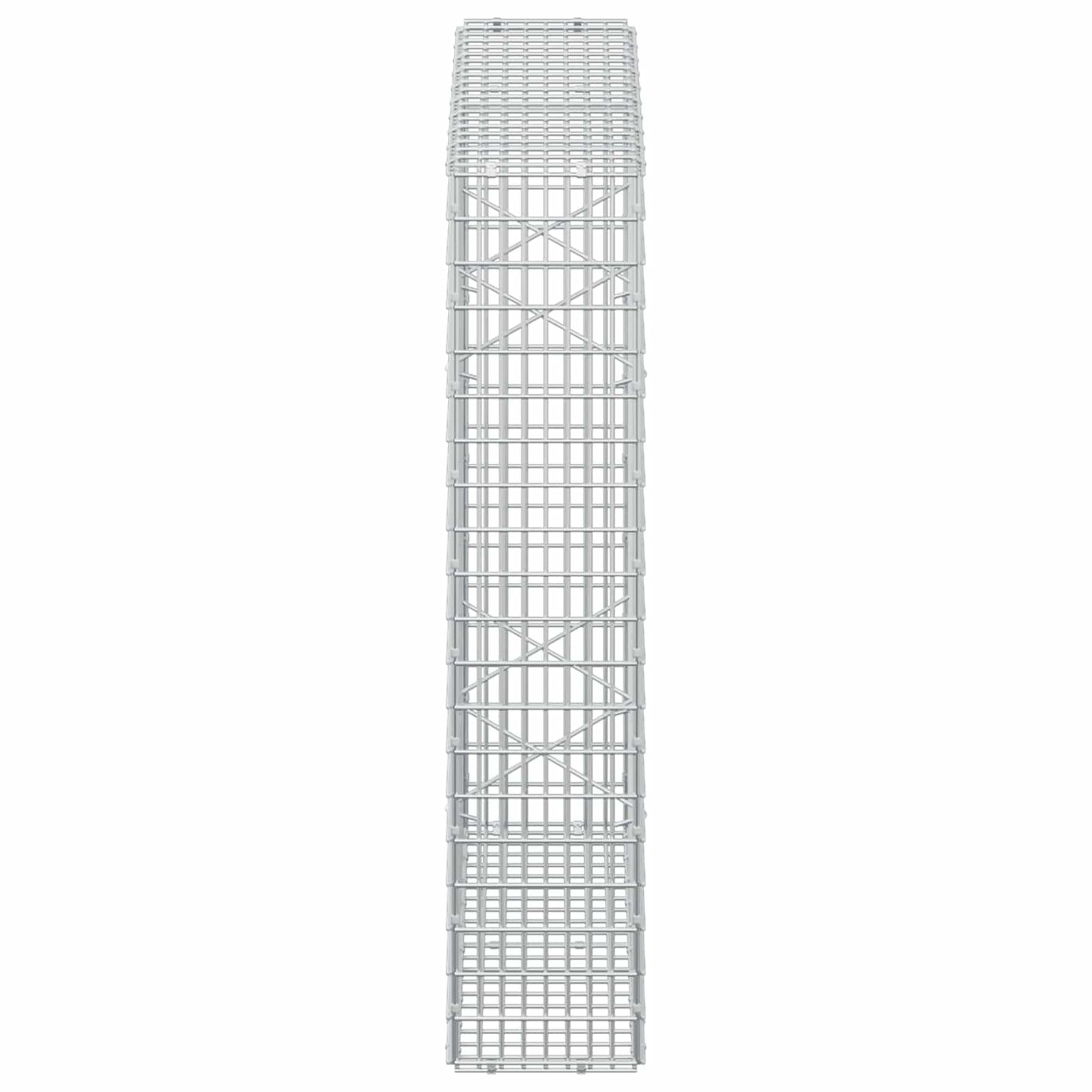 vidaXL Γκαμπιόν με σύρμα 5 mm και πλέγμα 5x2,5 cm 100x20x100 εκ.