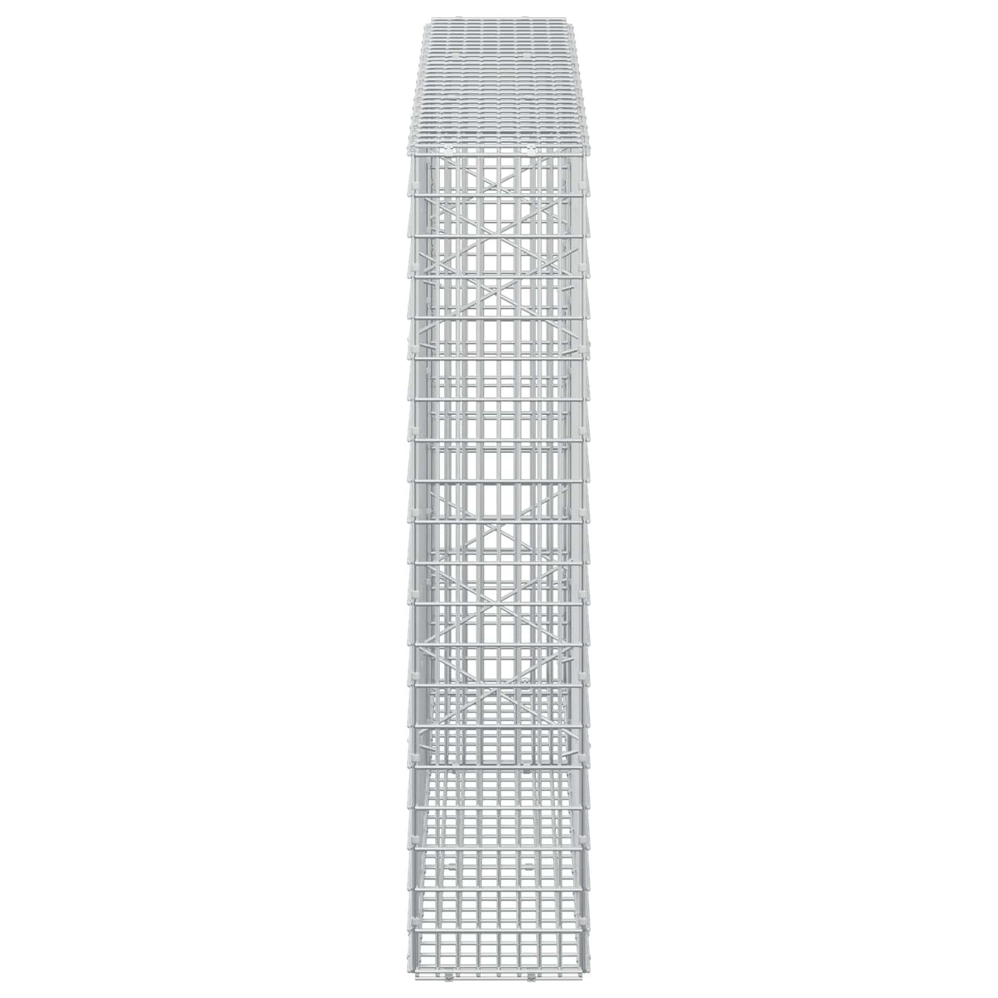 vidaXL Γκαμπιόν με σύρμα 5 mm και πλέγμα 5x2,5 cm 150x20x100 εκ