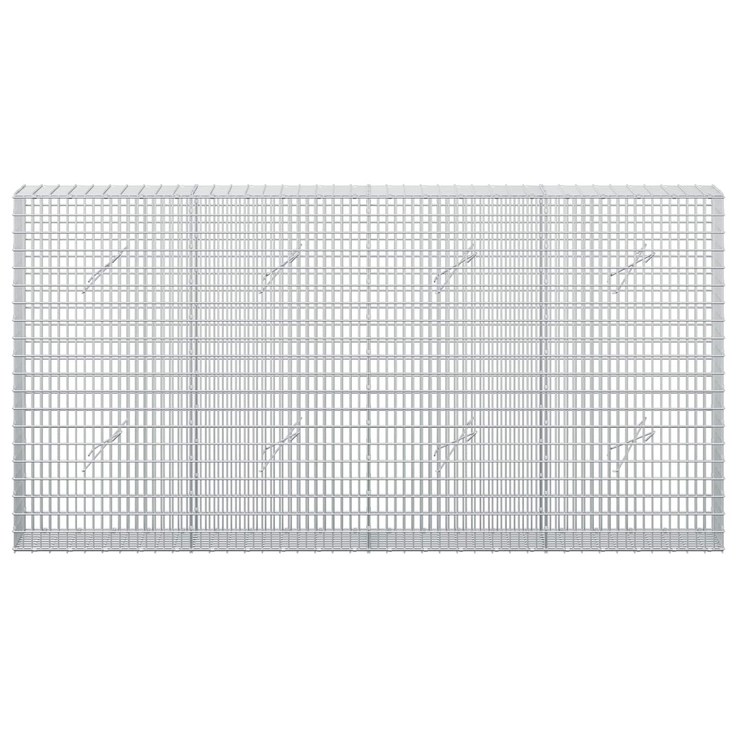 vidaXL Γκαμπιόν με σύρμα 5 mm και πλέγμα 5x2,5 cm 200x20x100 εκ