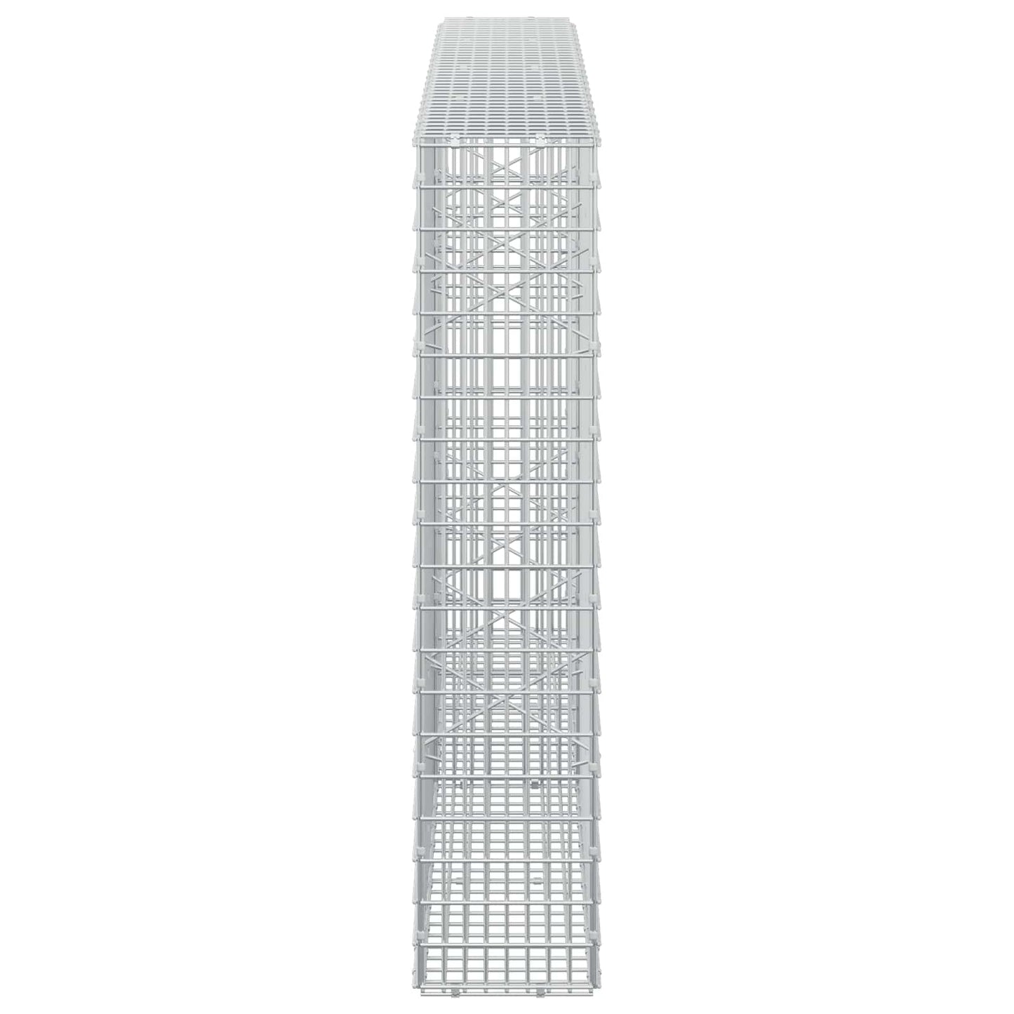 vidaXL Γκαμπιόν με σύρμα 5 mm και πλέγμα 5x2,5 cm 200x20x100 εκ