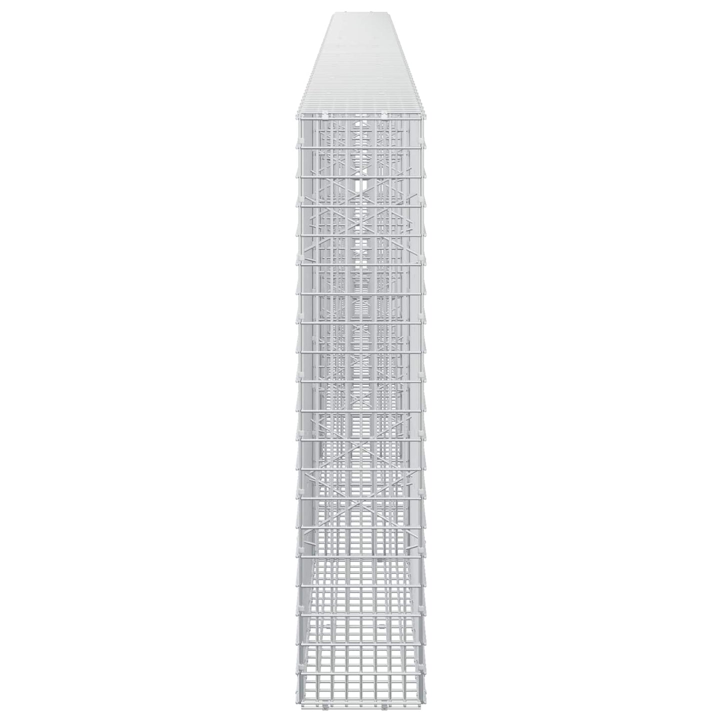 vidaXL Γκαμπιόν με σύρμα 5 mm και πλέγμα 5x2,5 cm 550x20x100 εκ.
