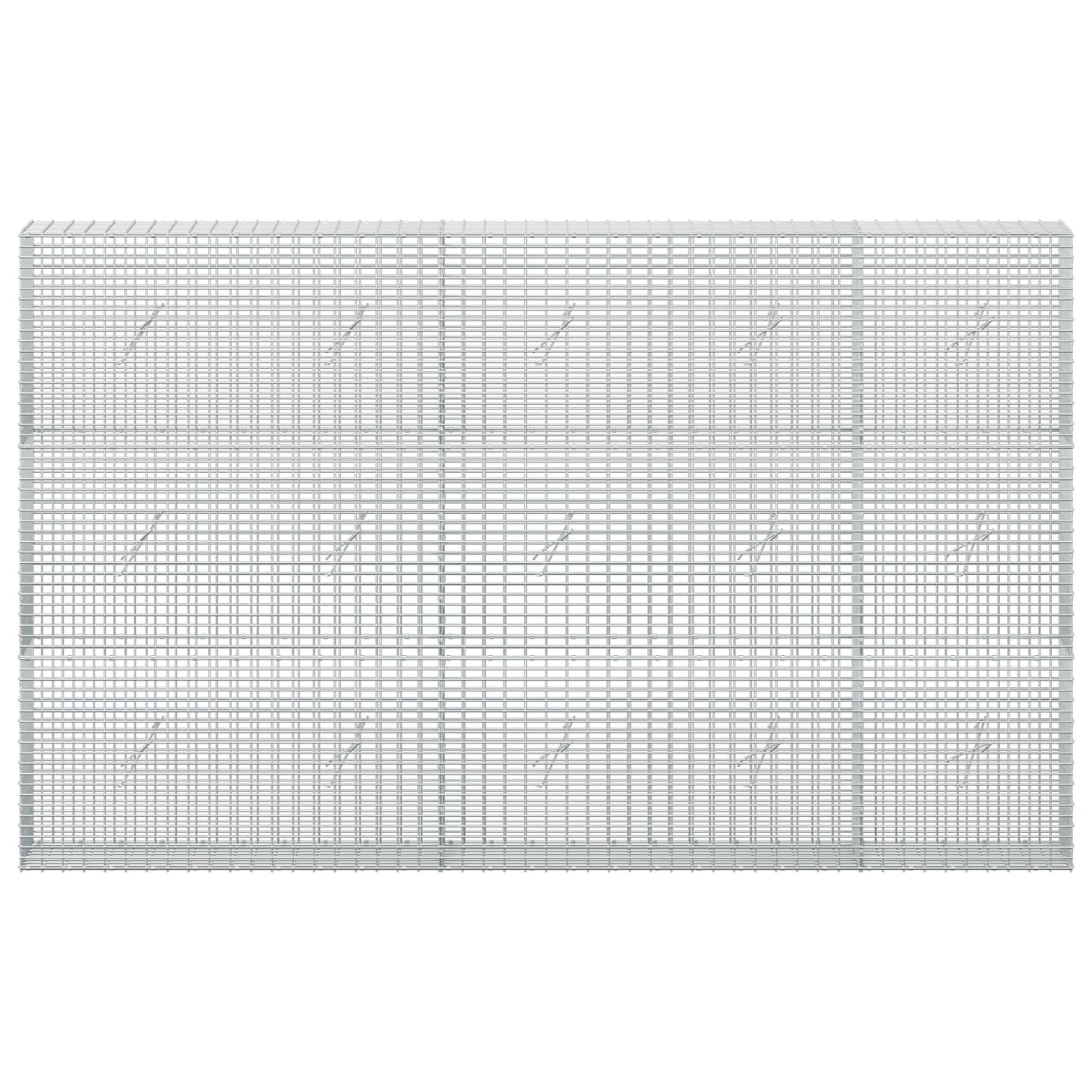 vidaXL Γκαμπιόν με σύρμα 5 mm και πλέγμα 5x2,5 cm 250x20x150 εκ.