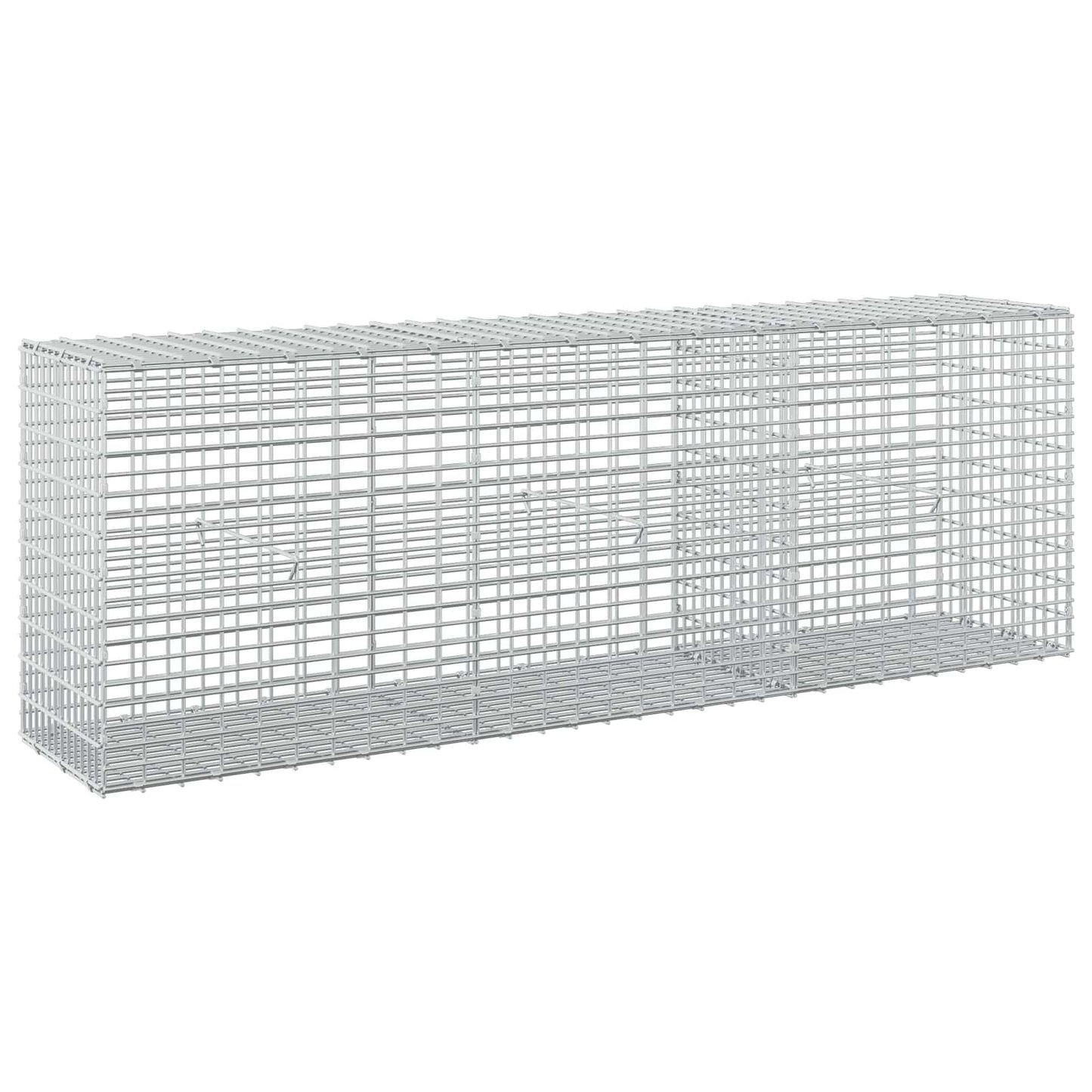 vidaXL Γκαμπιόν με σύρμα 5 mm και πλέγμα 5x2,5 cm 150x30x50 εκ