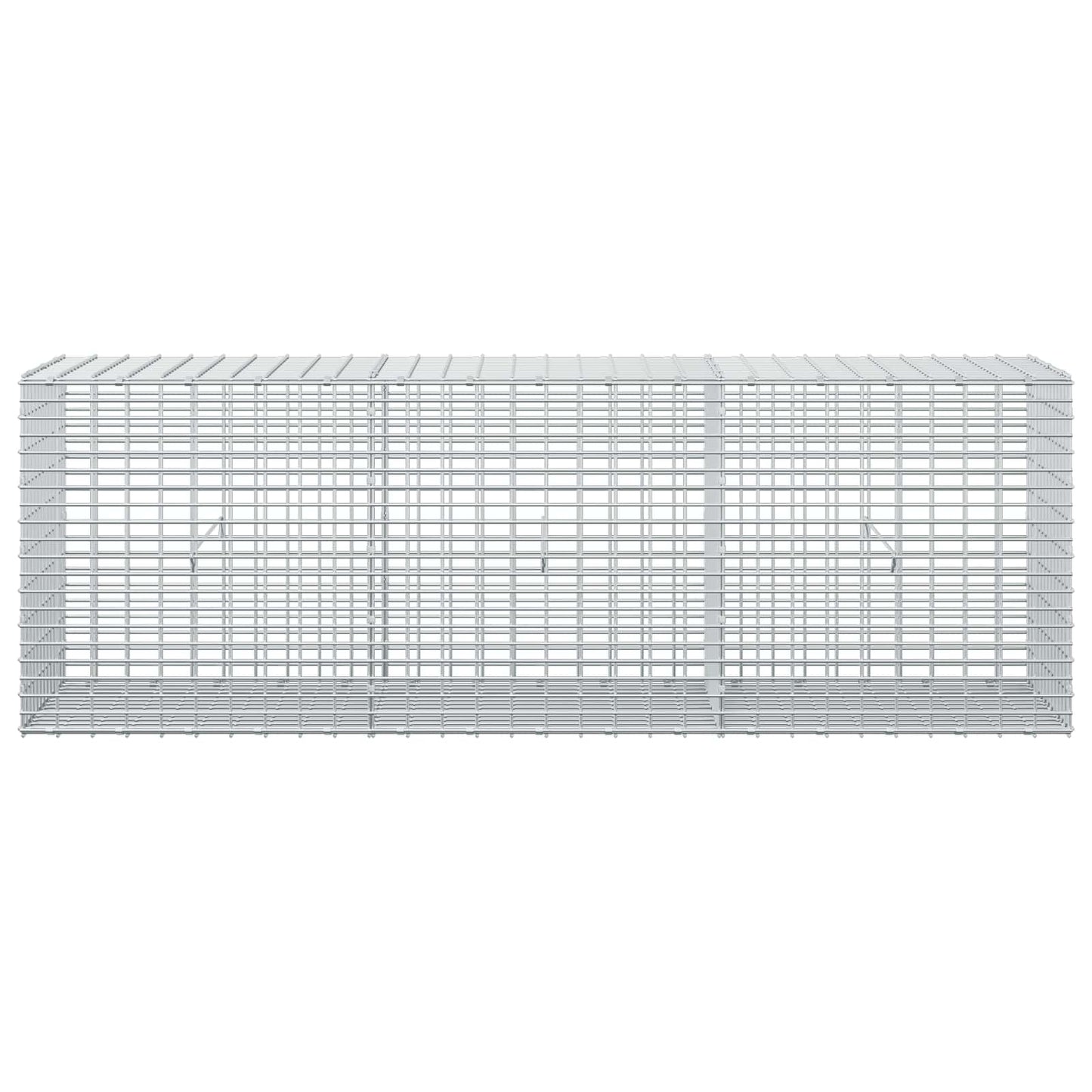 vidaXL Γκαμπιόν με σύρμα 5 mm και πλέγμα 5x2,5 cm 150x30x50 εκ