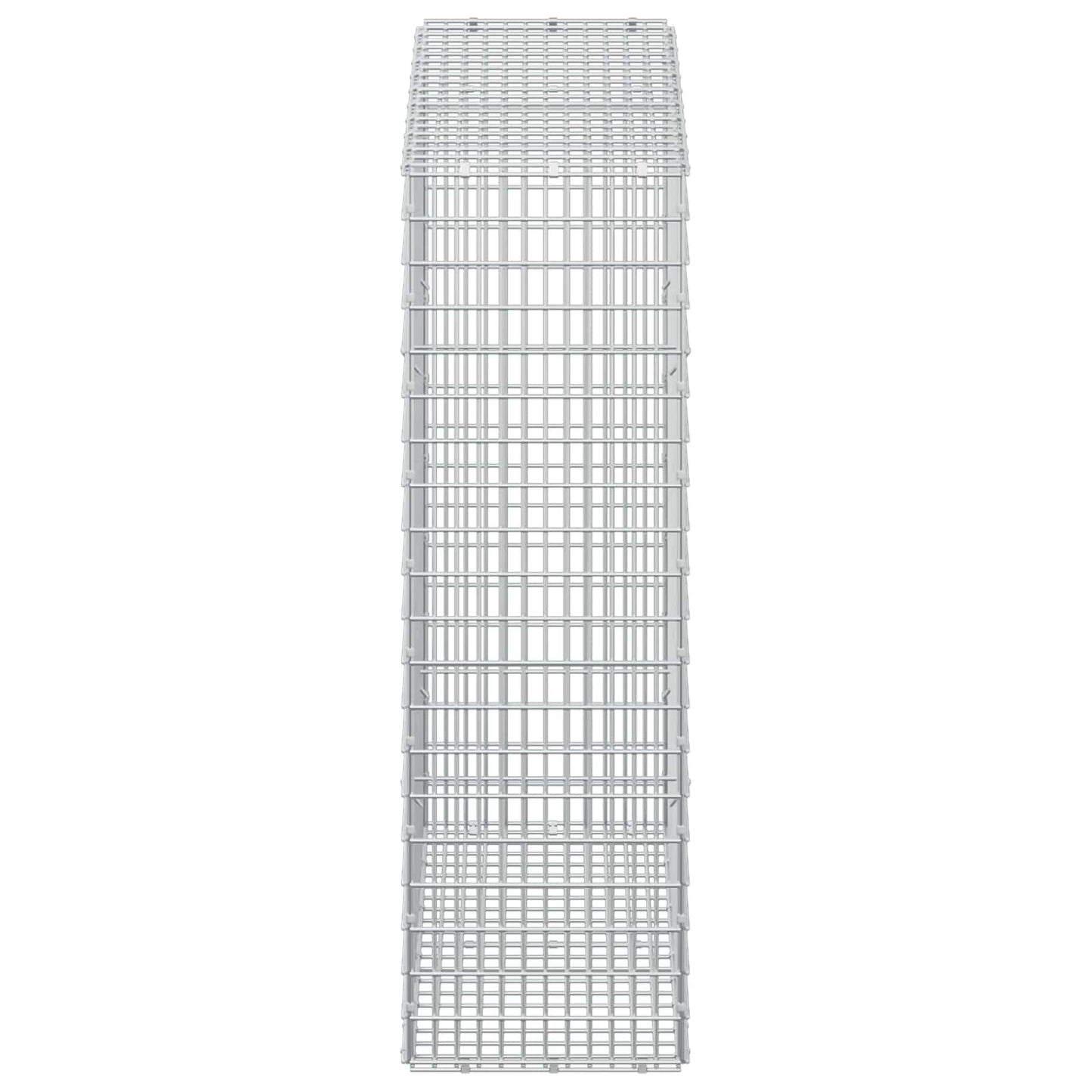 vidaXL Γκαμπιόν με σύρμα 5 mm και πλέγμα 5x2,5 cm 100x30x100 εκ