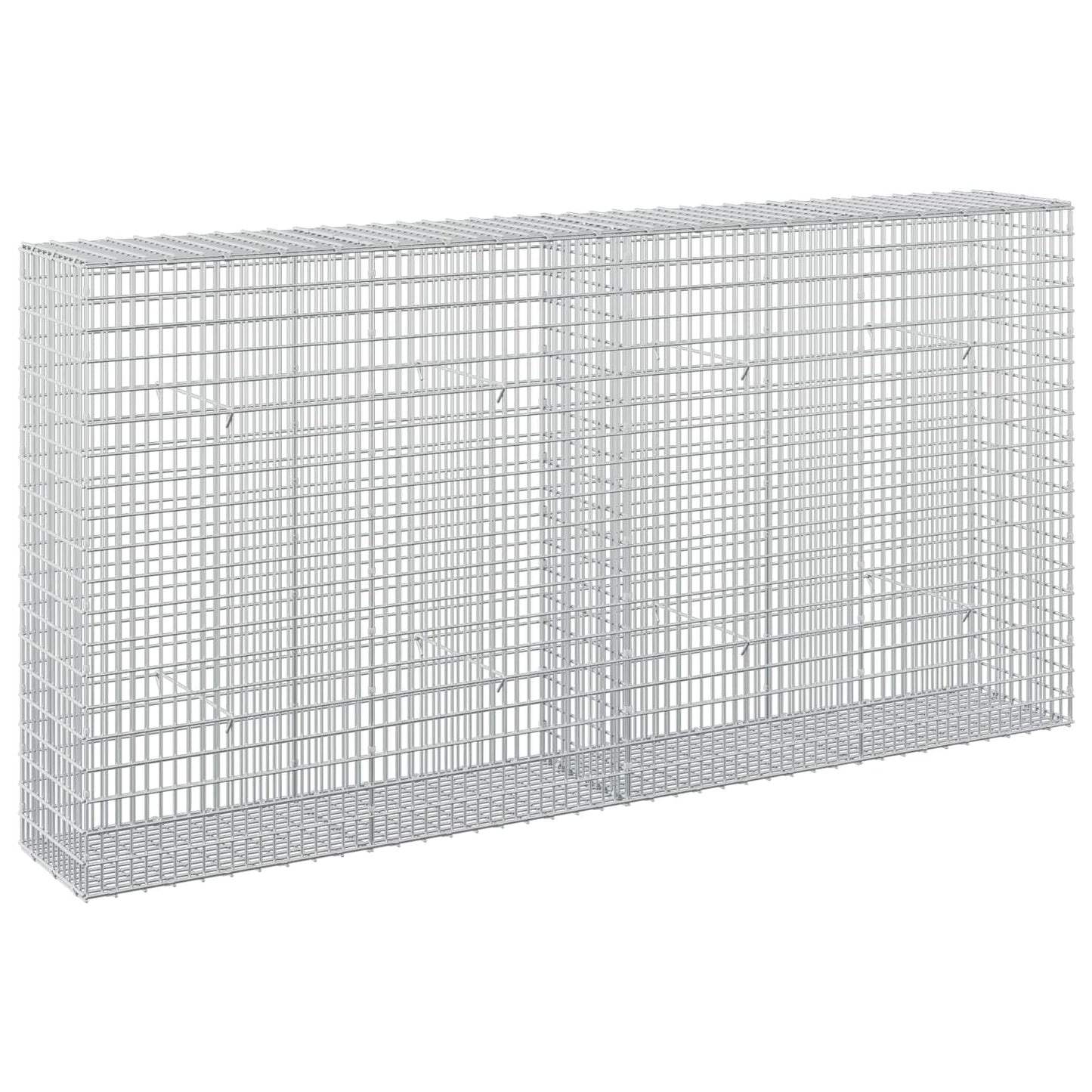 vidaXL Γκαμπιόν με σύρμα 5 mm και πλέγμα 5x2,5 cm 200x30x100 εκ