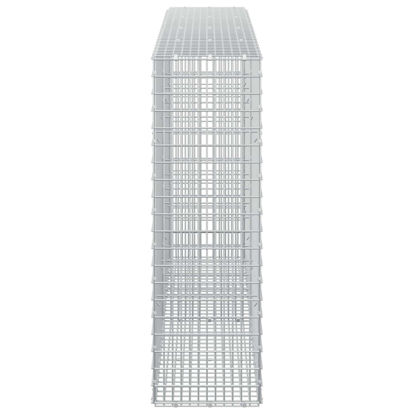 vidaXL Γκαμπιόν με σύρμα 5 mm και πλέγμα 5x2,5 cm 200x30x100 εκ
