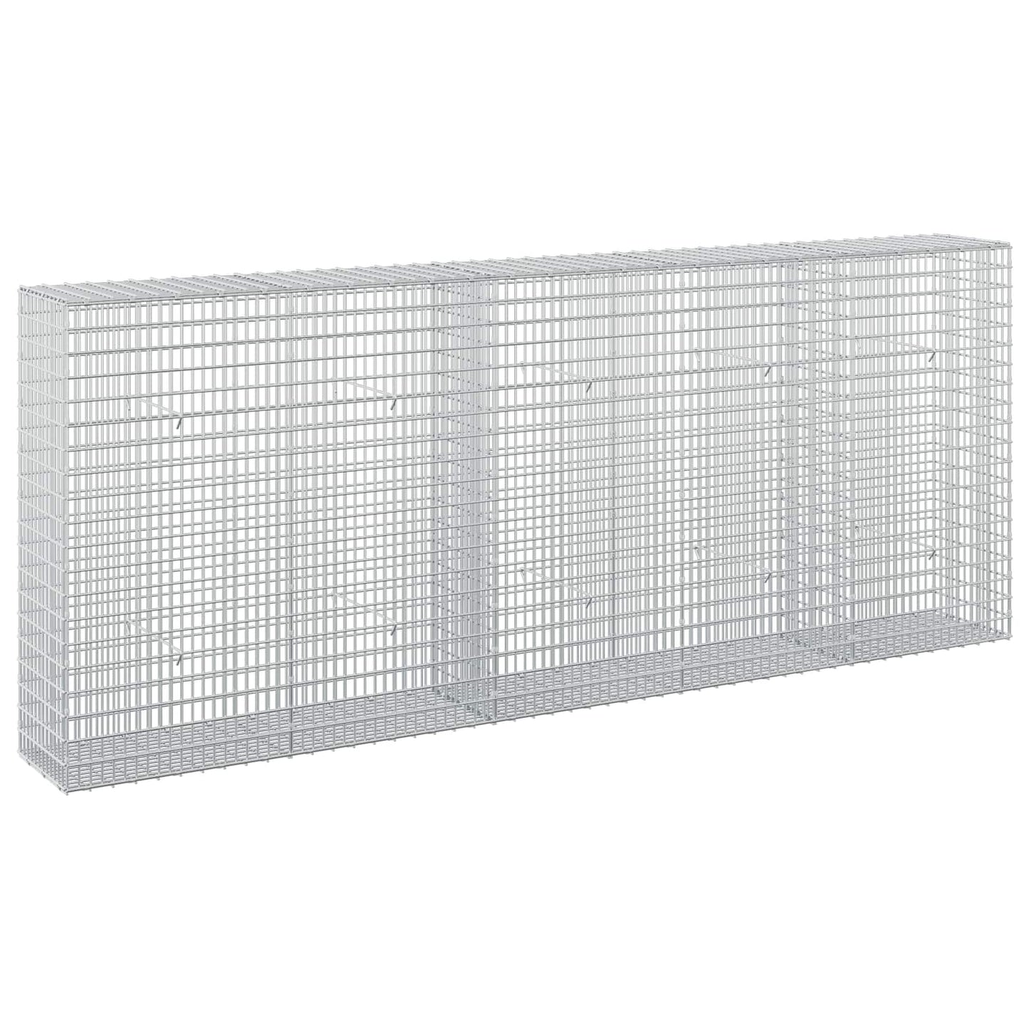 vidaXL Γκαμπιόν με σύρμα 5 mm και πλέγμα 5x2,5 cm 250x30x100 εκ