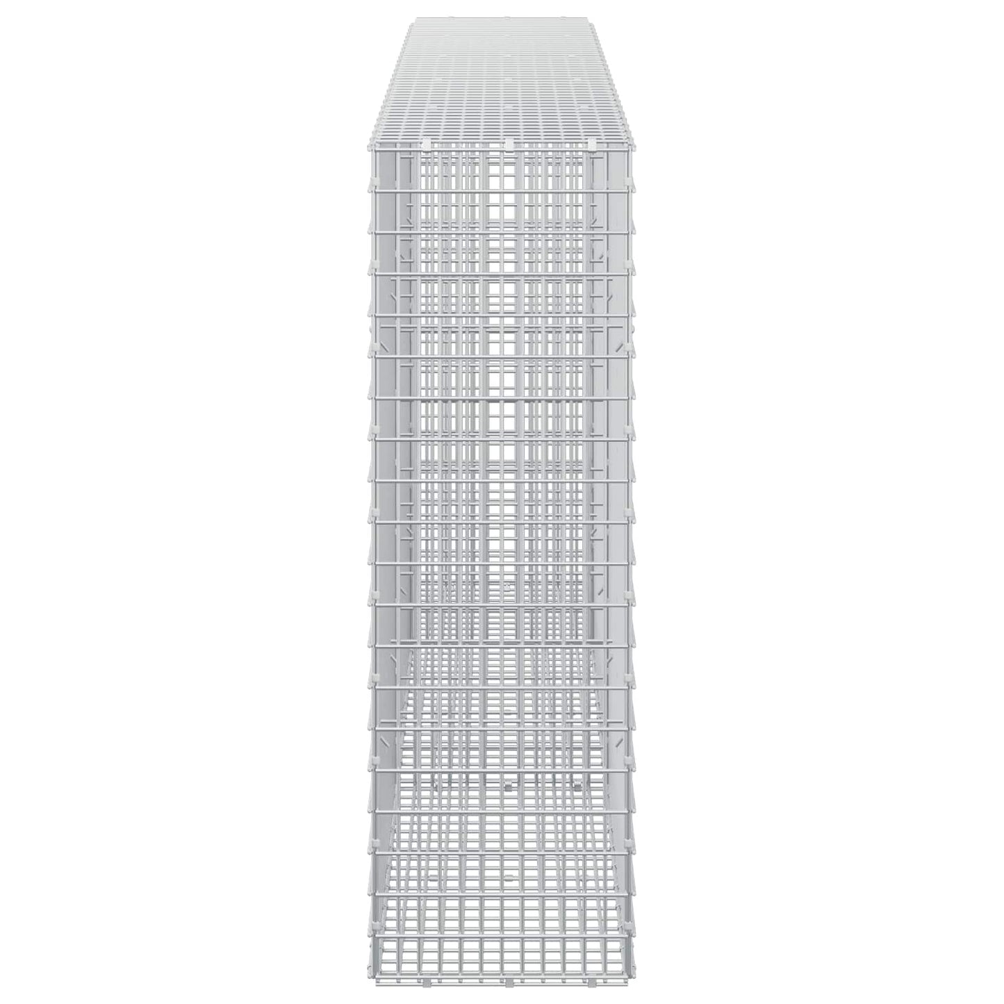 vidaXL Γκαμπιόν με σύρμα 5 mm και πλέγμα 5x2,5 cm 250x30x100 εκ