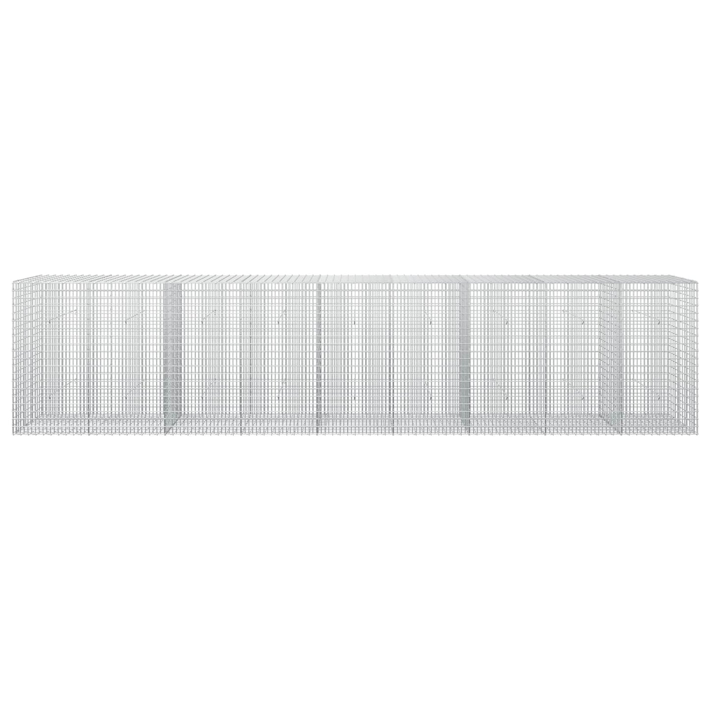 vidaXL Γκαμπιόν με σύρμα 5 mm και πλέγμα 5x2,5 cm 450x30x100 εκ
