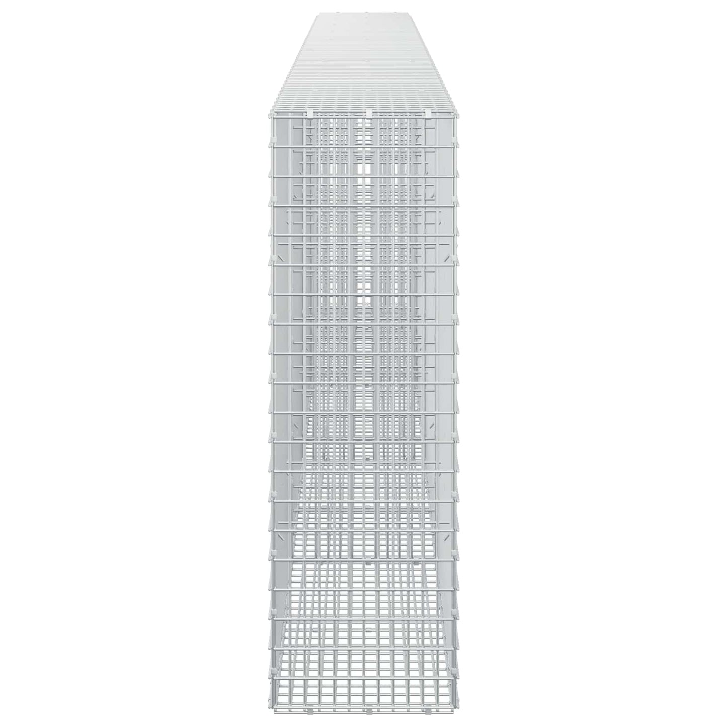 vidaXL Γκαμπιόν με σύρμα 5 mm και πλέγμα 5x2,5 cm 450x30x100 εκ