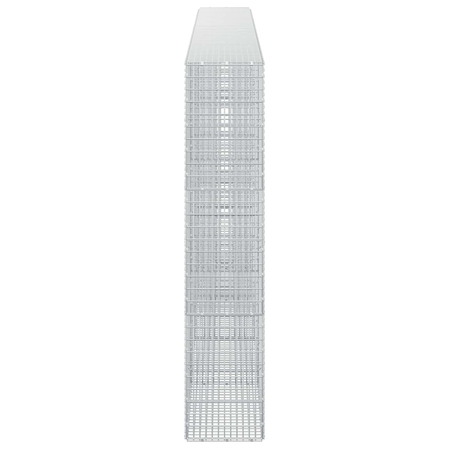 vidaXL Γκαμπιόν με σύρμα 5 mm και πλέγμα 5x2,5 cm 450x30x150 εκ