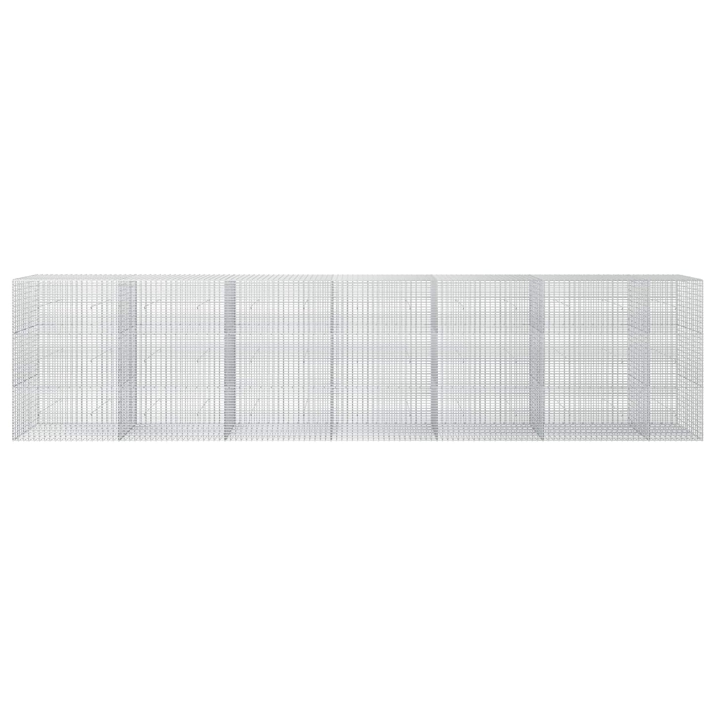 vidaXL Γκαμπιόν με σύρμα 5 mm και πλέγμα 5x2,5 cm 650x30x150 εκ