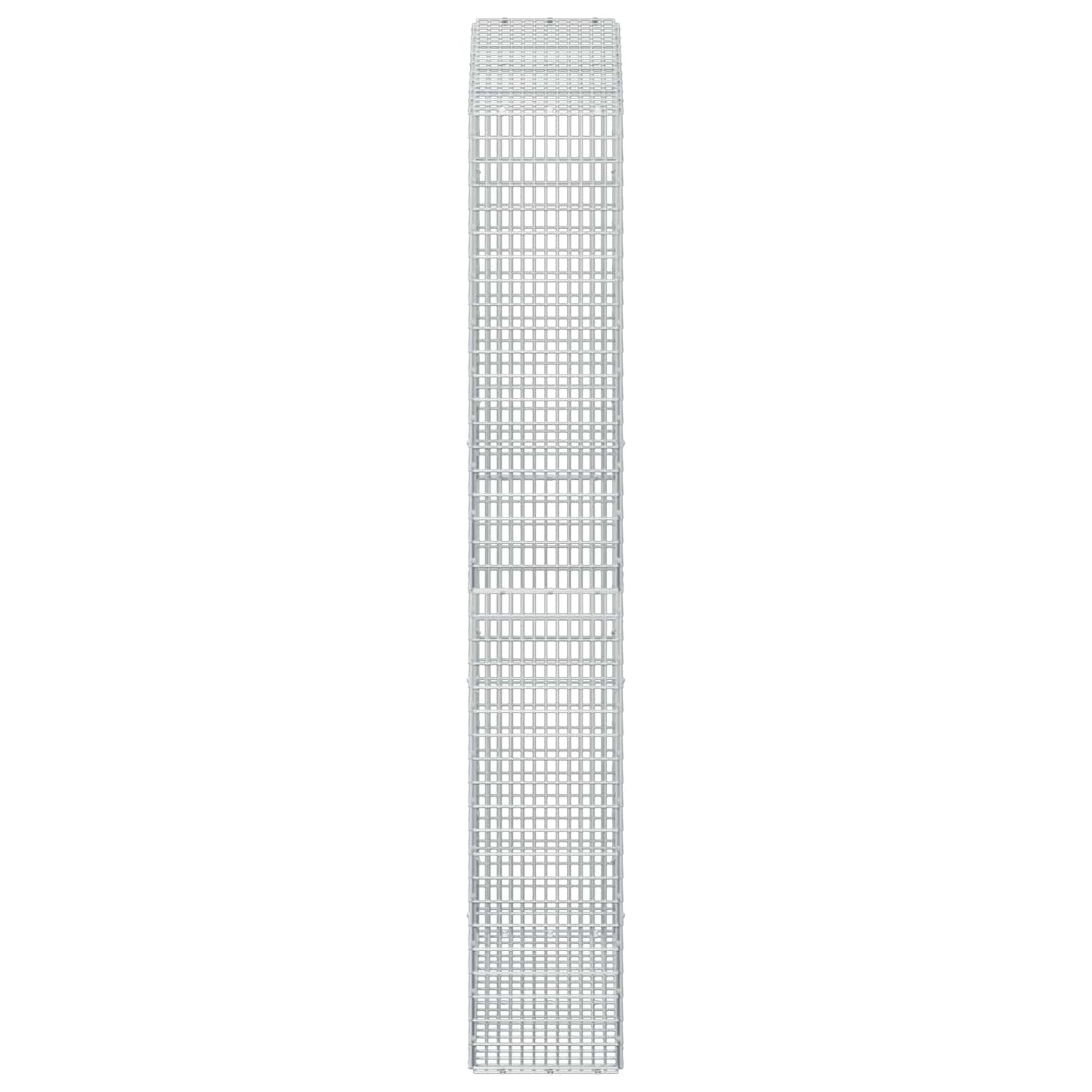 vidaXL Γκαμπιόν με σύρμα 5 mm και πλέγμα 5x2,5 cm 100x30x200 εκ.